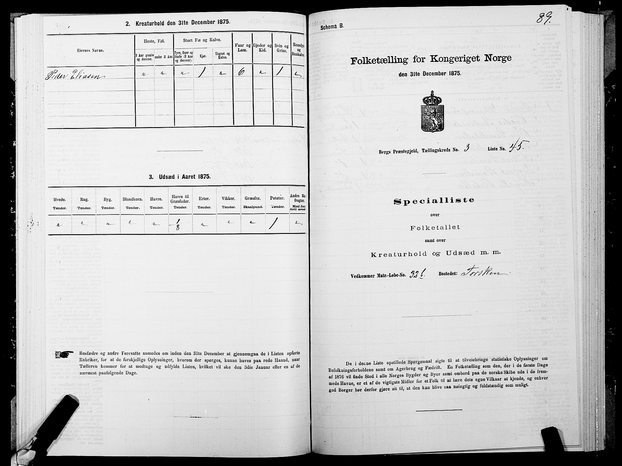 SATØ, Folketelling 1875 for 1929P Berg prestegjeld, 1875, s. 2089