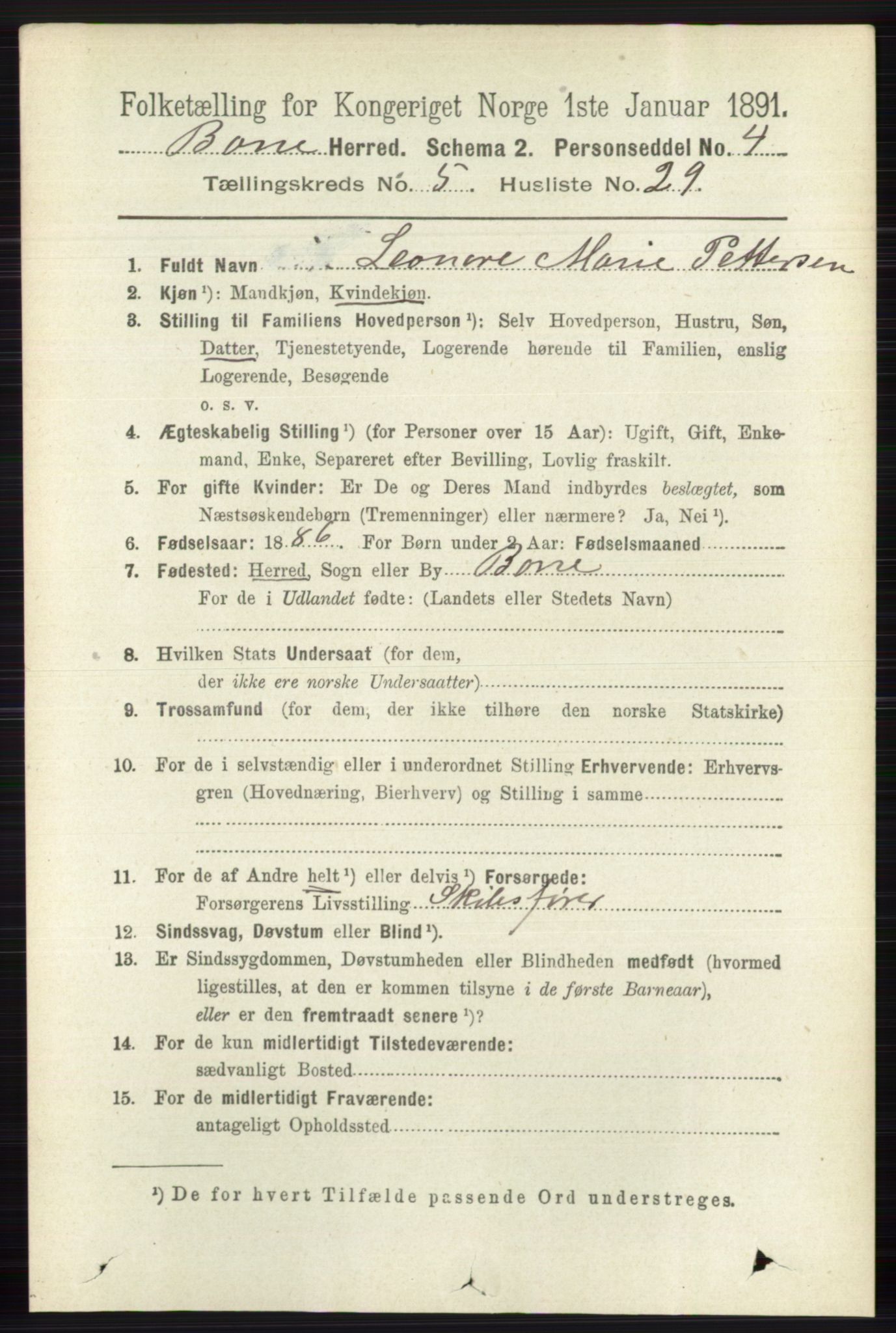 RA, Folketelling 1891 for 0717 Borre herred, 1891, s. 2197