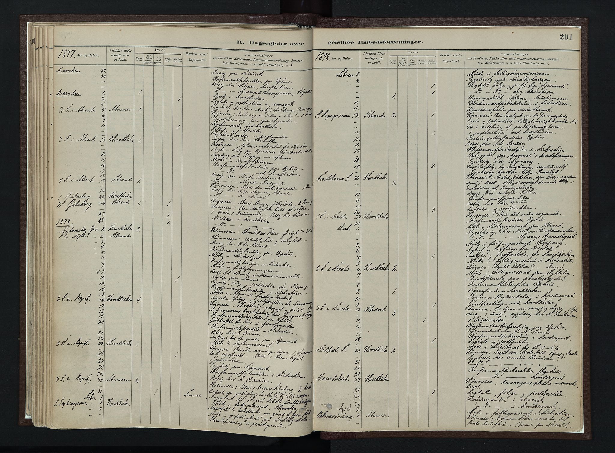 Stor-Elvdal prestekontor, SAH/PREST-052/H/Ha/Haa/L0003: Ministerialbok nr. 3, 1882-1901, s. 201