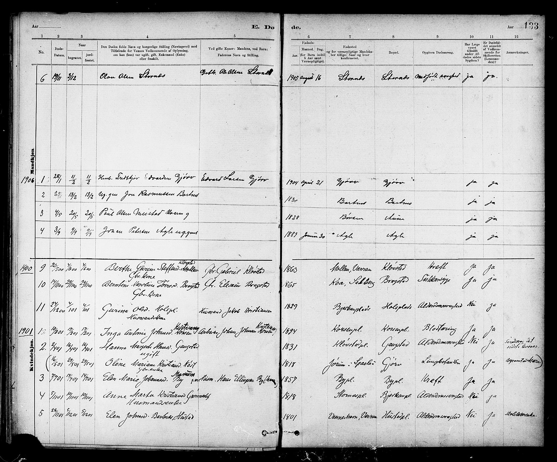 Ministerialprotokoller, klokkerbøker og fødselsregistre - Nord-Trøndelag, AV/SAT-A-1458/732/L0318: Klokkerbok nr. 732C02, 1881-1911, s. 133