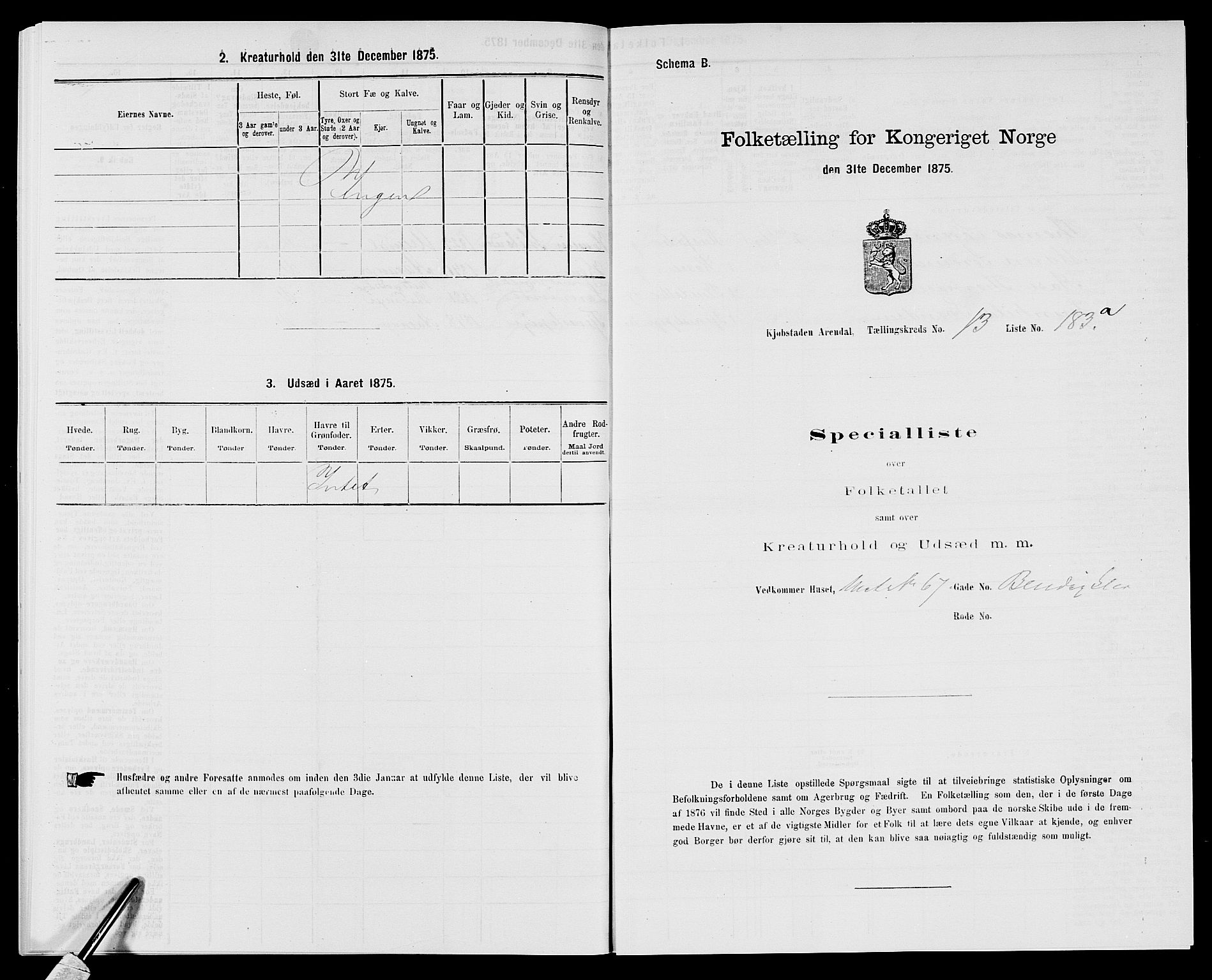 SAK, Folketelling 1875 for 0903P Arendal prestegjeld, 1875, s. 429