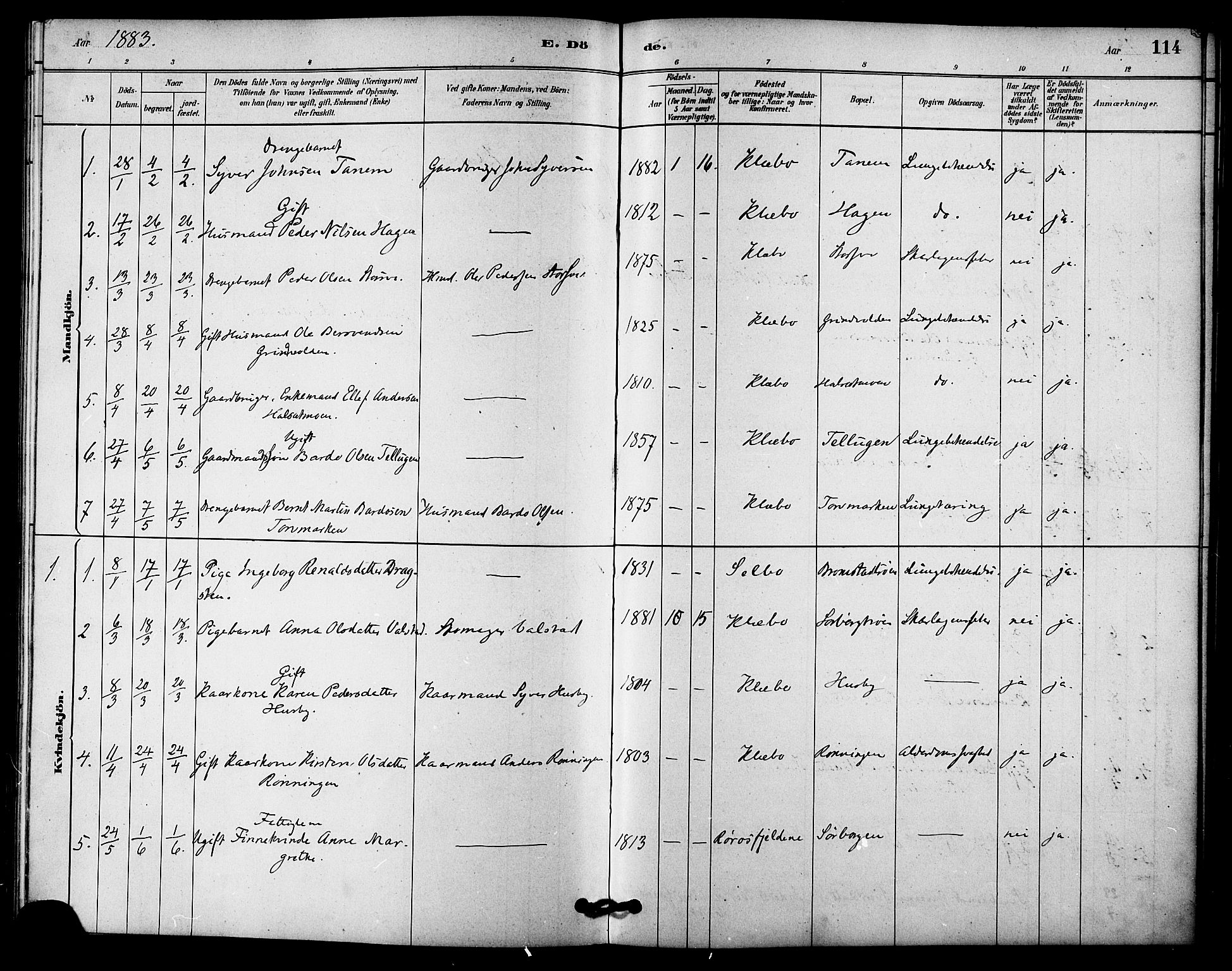 Ministerialprotokoller, klokkerbøker og fødselsregistre - Sør-Trøndelag, AV/SAT-A-1456/618/L0444: Ministerialbok nr. 618A07, 1880-1898, s. 114