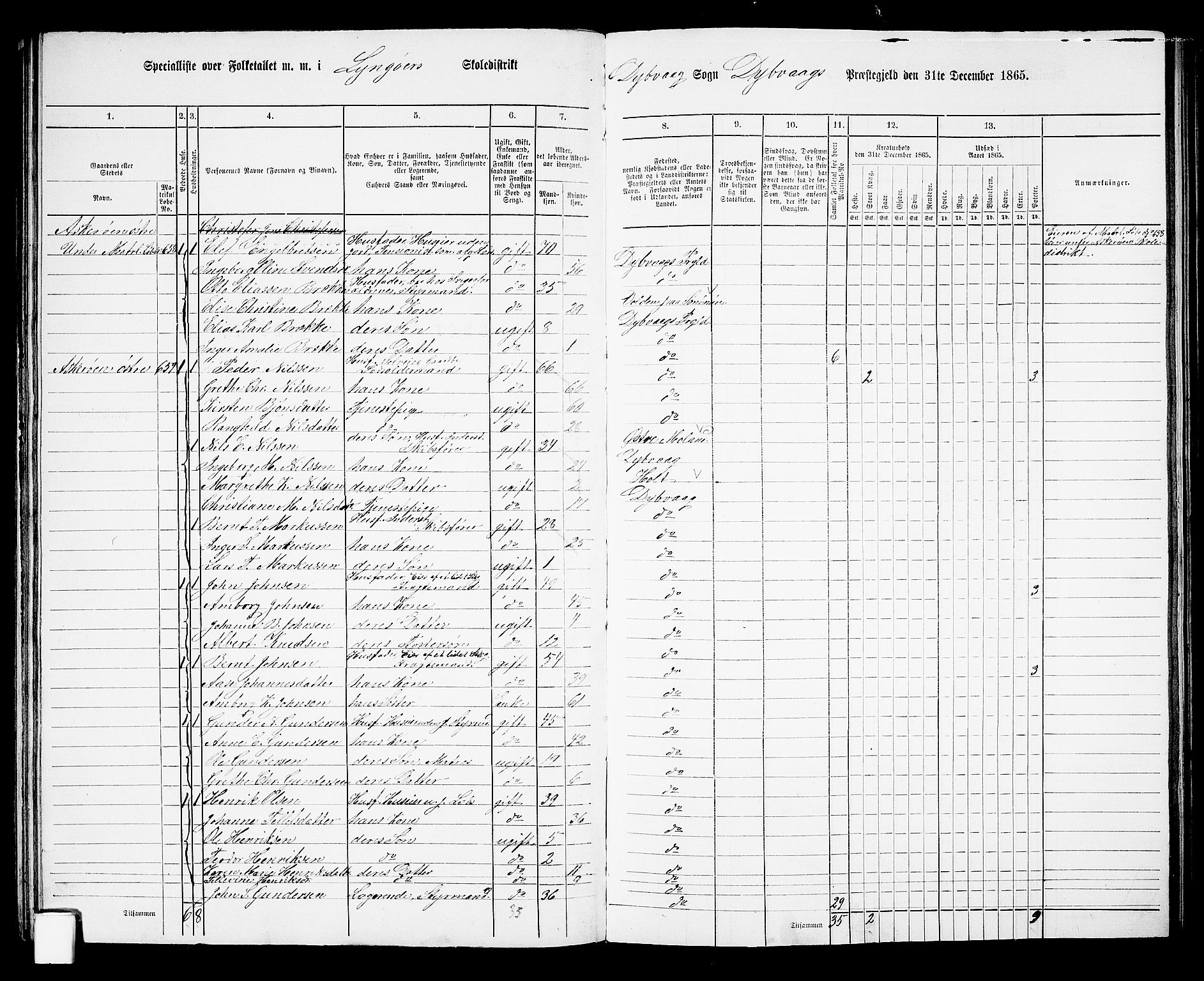 RA, Folketelling 1865 for 0915P Dypvåg prestegjeld, 1865, s. 61