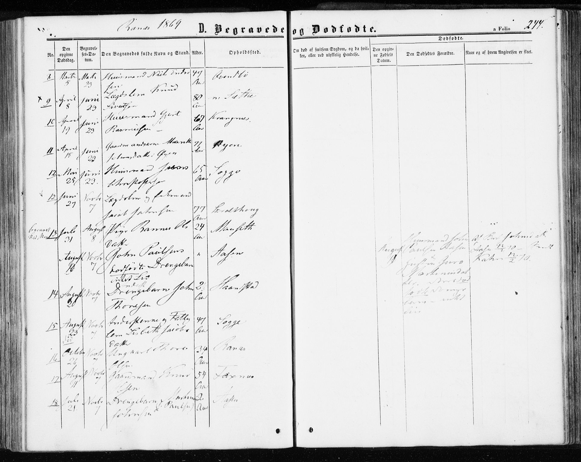 Ministerialprotokoller, klokkerbøker og fødselsregistre - Møre og Romsdal, AV/SAT-A-1454/595/L1045: Ministerialbok nr. 595A07, 1863-1873, s. 244