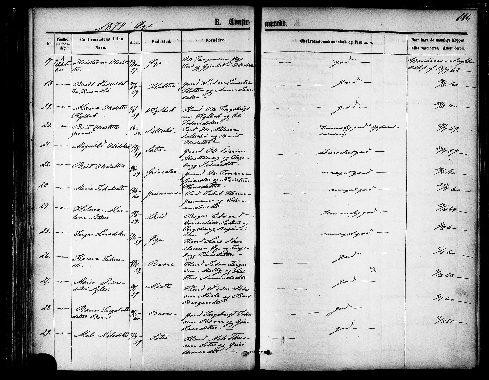 Ministerialprotokoller, klokkerbøker og fødselsregistre - Møre og Romsdal, SAT/A-1454/595/L1046: Ministerialbok nr. 595A08, 1874-1884, s. 116