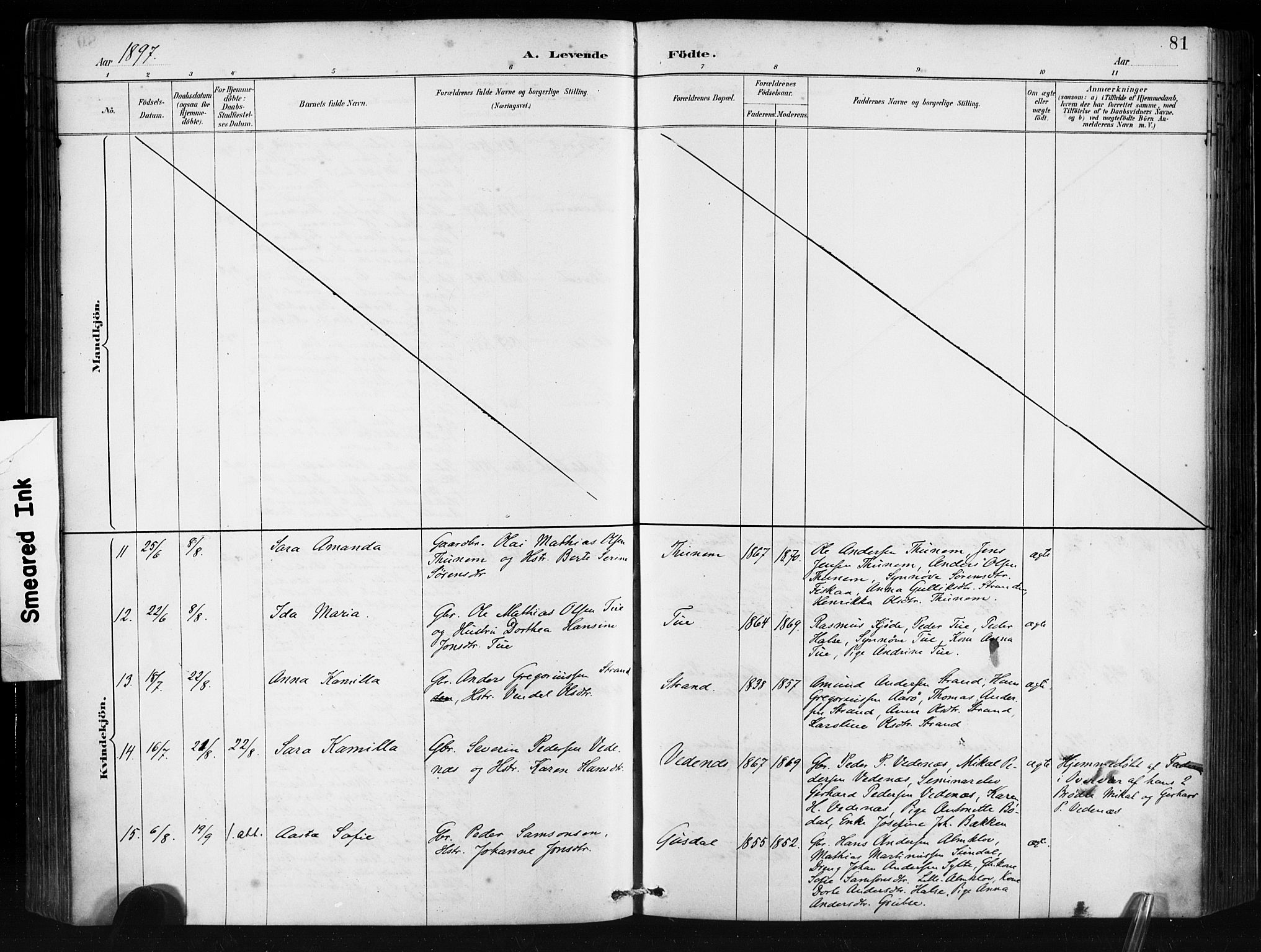 Ministerialprotokoller, klokkerbøker og fødselsregistre - Møre og Romsdal, AV/SAT-A-1454/501/L0008: Ministerialbok nr. 501A08, 1885-1901, s. 81