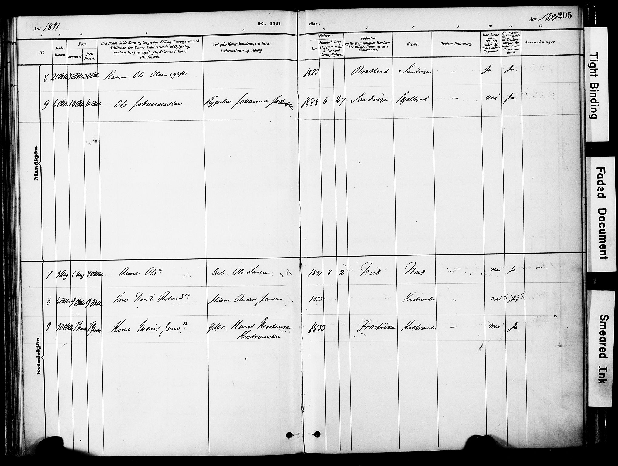 Ministerialprotokoller, klokkerbøker og fødselsregistre - Nord-Trøndelag, SAT/A-1458/755/L0494: Ministerialbok nr. 755A03, 1882-1902, s. 205