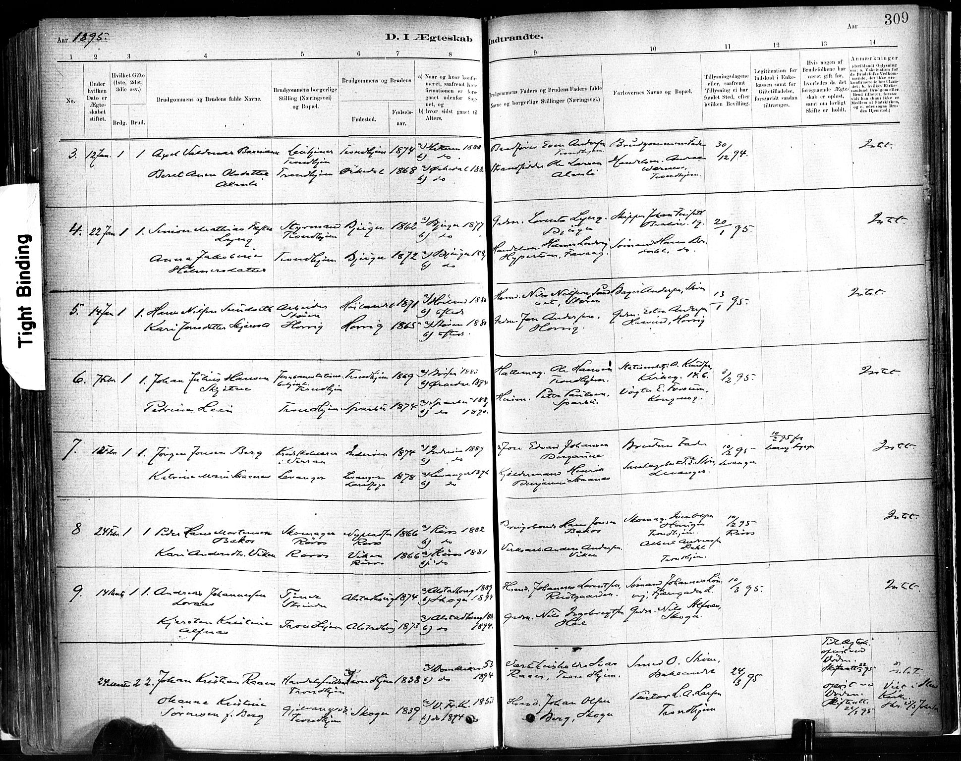 Ministerialprotokoller, klokkerbøker og fødselsregistre - Sør-Trøndelag, SAT/A-1456/602/L0119: Ministerialbok nr. 602A17, 1880-1901, s. 309