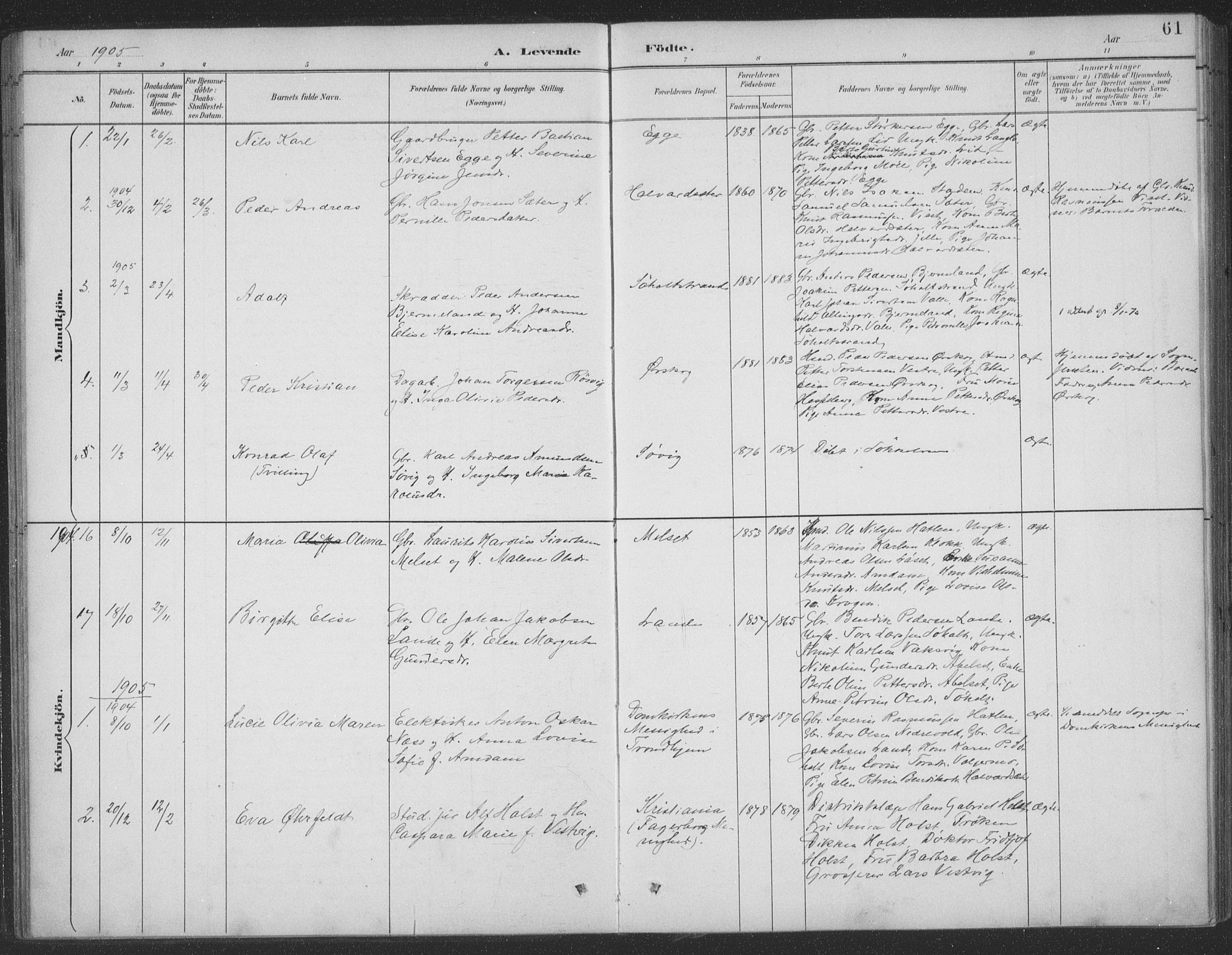 Ministerialprotokoller, klokkerbøker og fødselsregistre - Møre og Romsdal, SAT/A-1454/522/L0316: Ministerialbok nr. 522A11, 1890-1911, s. 61