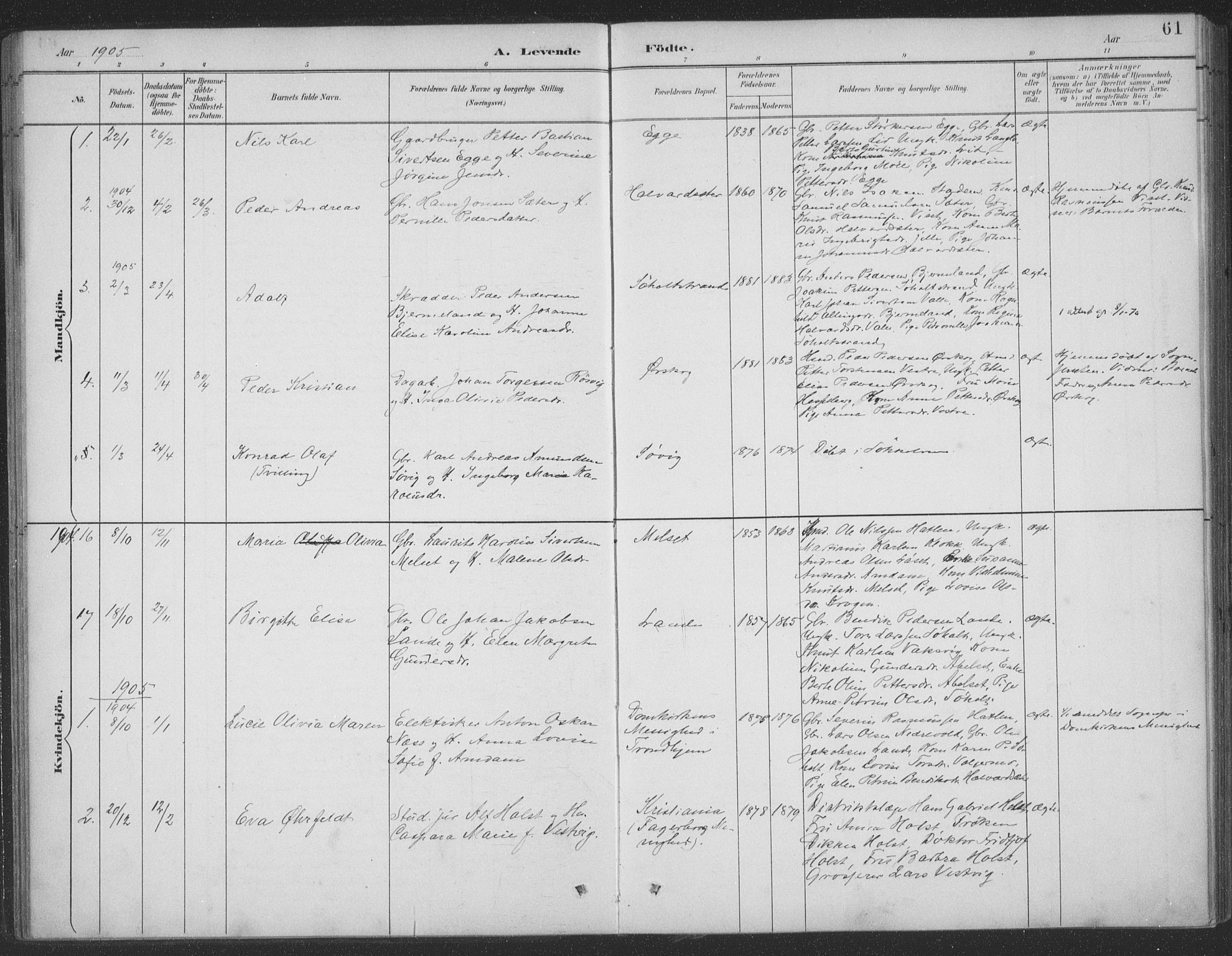 Ministerialprotokoller, klokkerbøker og fødselsregistre - Møre og Romsdal, AV/SAT-A-1454/522/L0316: Ministerialbok nr. 522A11, 1890-1911, s. 61