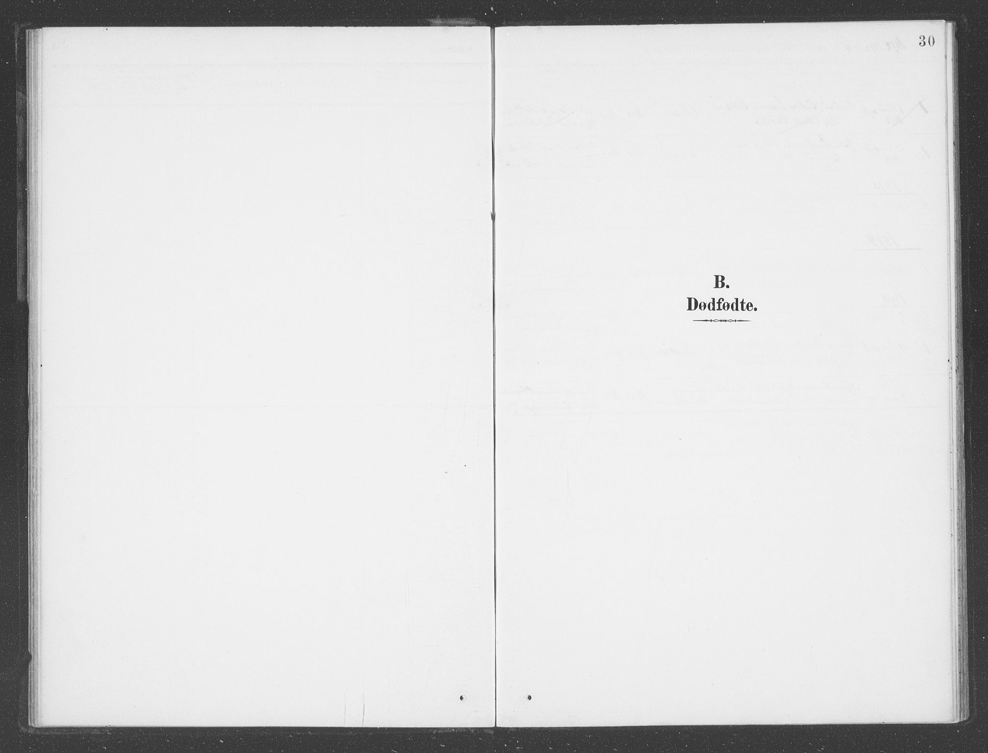 Vik sokneprestembete, AV/SAB-A-81501/H/Haa/Haad/L0002: Ministerialbok nr. D  2, 1891-1907, s. 30