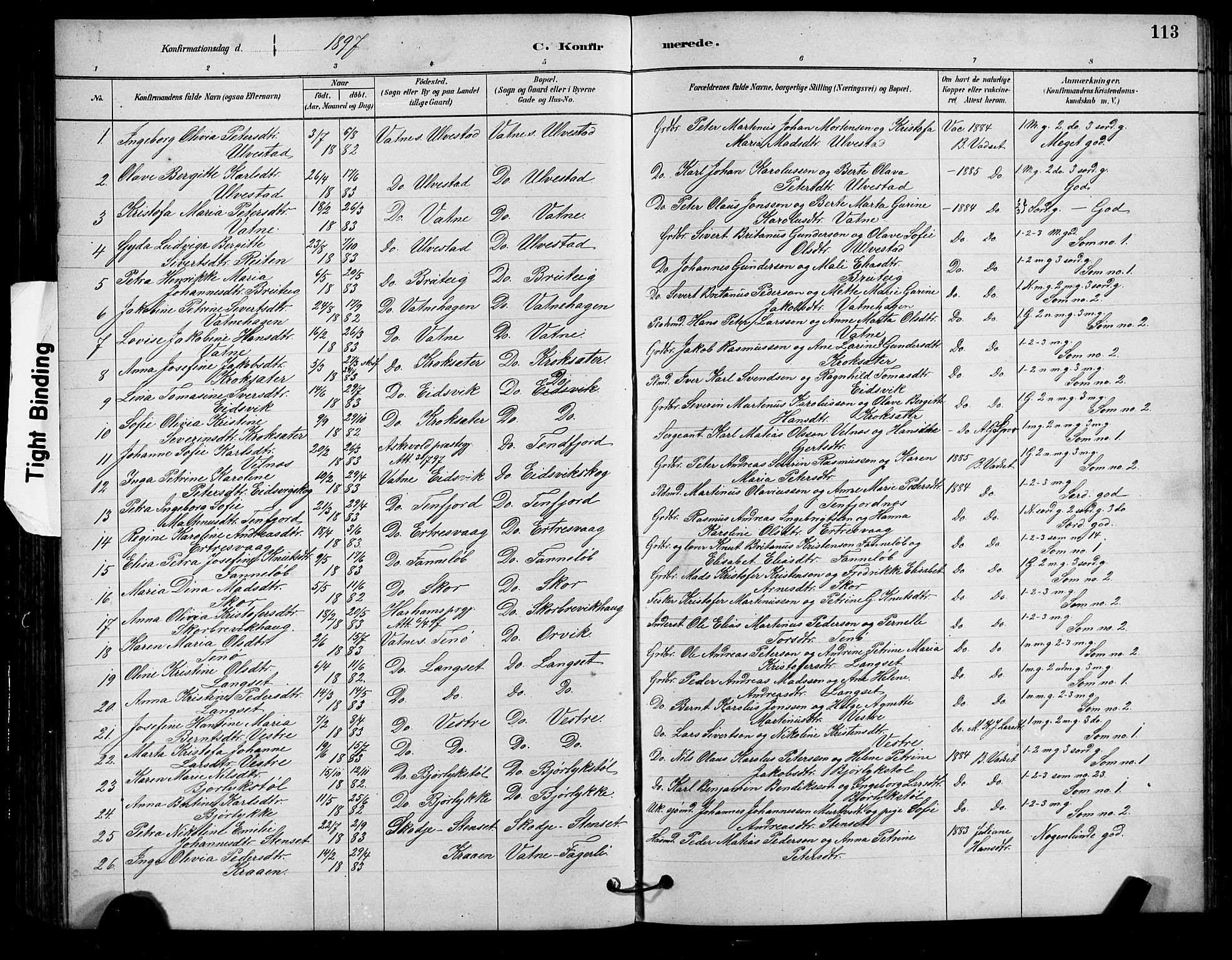 Ministerialprotokoller, klokkerbøker og fødselsregistre - Møre og Romsdal, AV/SAT-A-1454/525/L0376: Klokkerbok nr. 525C02, 1880-1902, s. 113