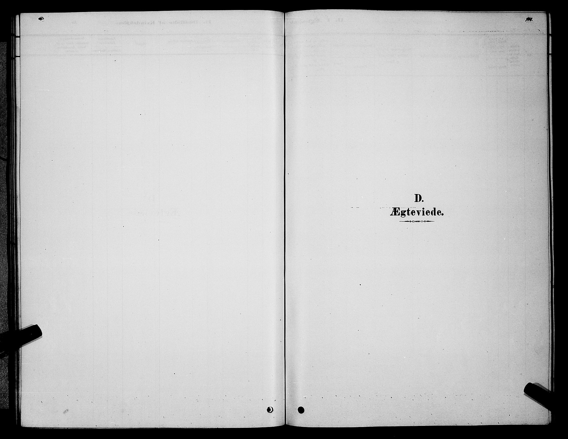 Sør-Varanger sokneprestkontor, SATØ/S-1331/H/Hb/L0003klokker: Klokkerbok nr. 3, 1878-1891, s. 110