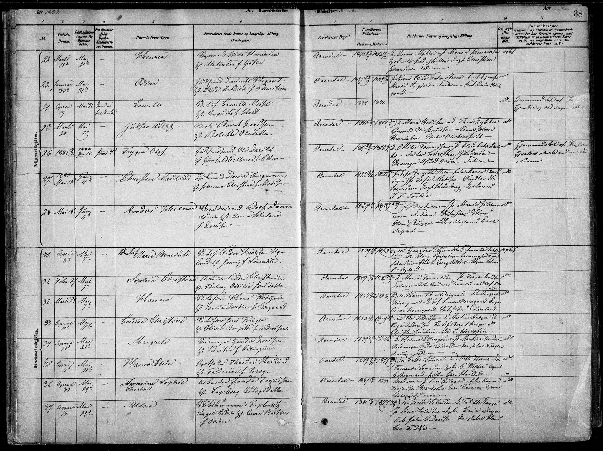 Arendal sokneprestkontor, Trefoldighet, AV/SAK-1111-0040/F/Fa/L0008: Ministerialbok nr. A 8, 1878-1899, s. 38