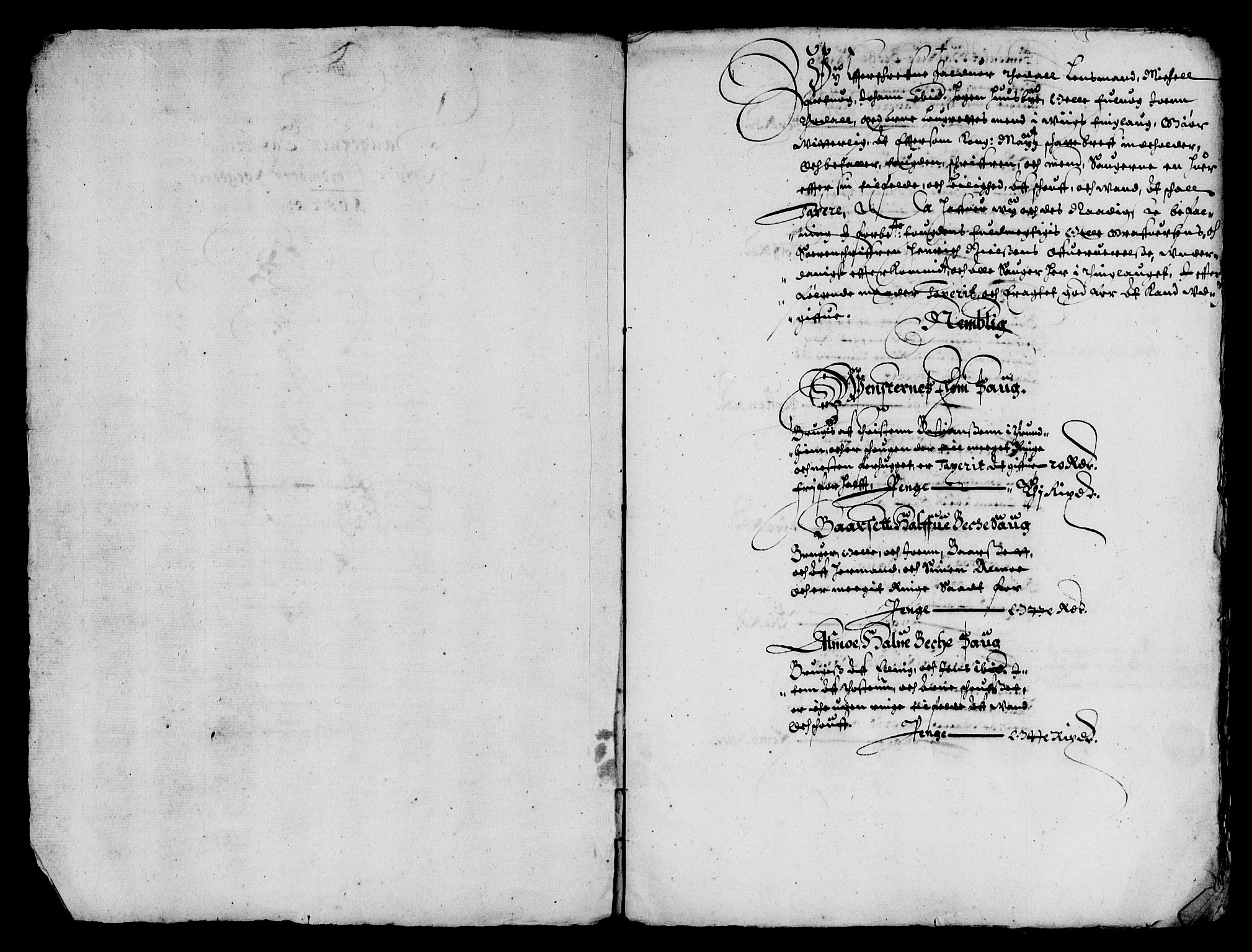 Rentekammeret inntil 1814, Reviderte regnskaper, Lensregnskaper, AV/RA-EA-5023/R/Rb/Rbw/L0108: Trondheim len, 1652-1653