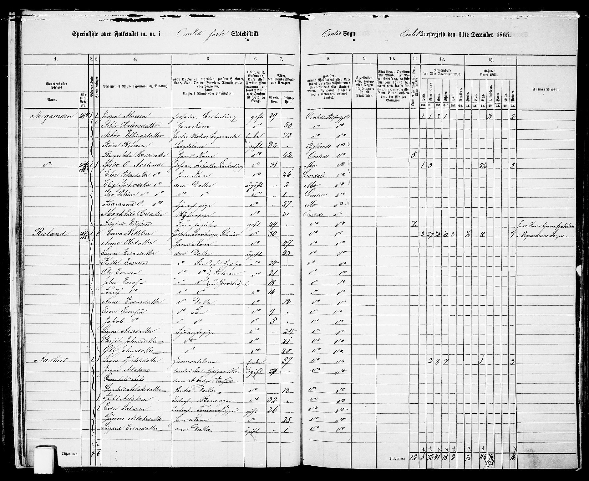 RA, Folketelling 1865 for 0929P Åmli prestegjeld, 1865, s. 16