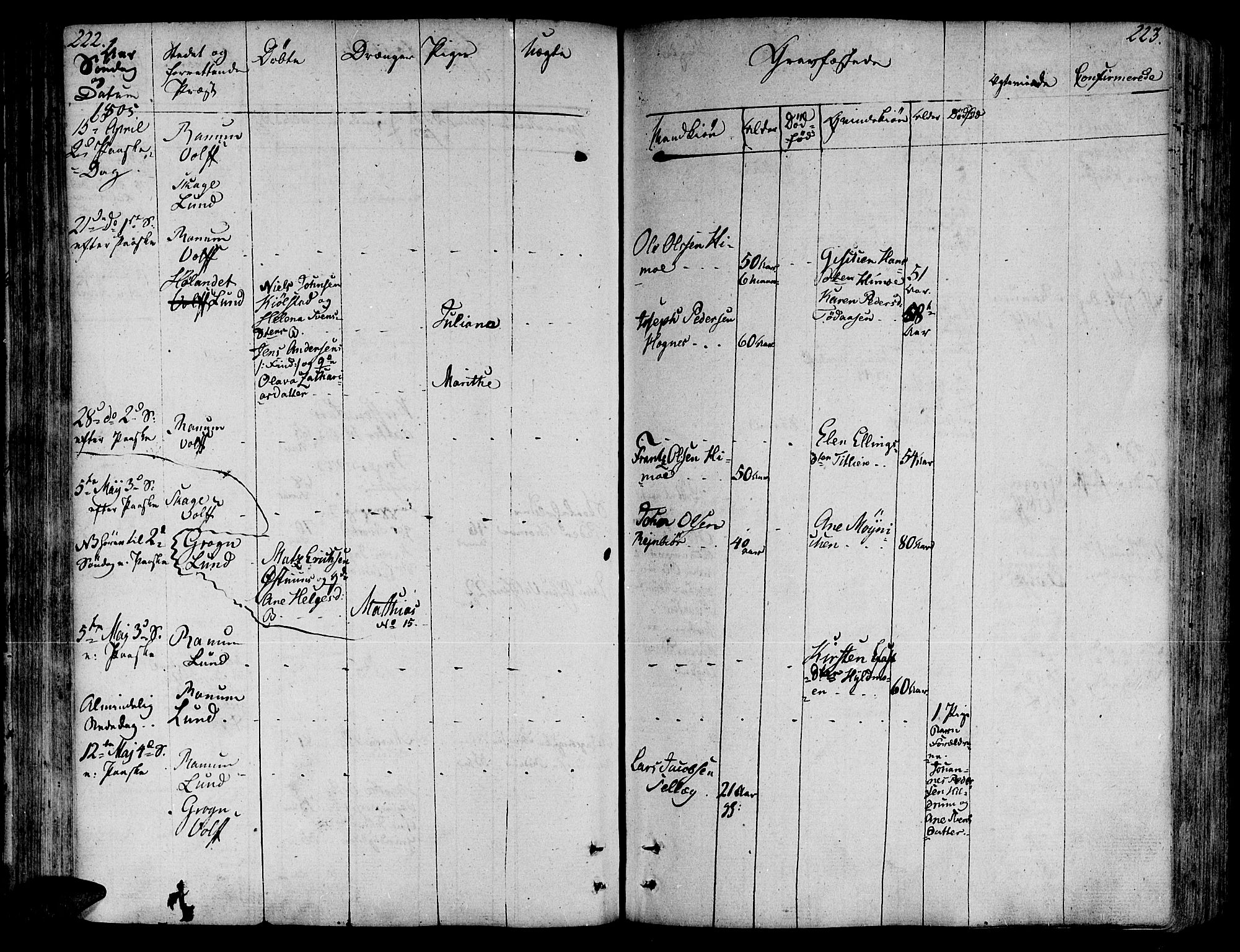 Ministerialprotokoller, klokkerbøker og fødselsregistre - Nord-Trøndelag, AV/SAT-A-1458/764/L0545: Ministerialbok nr. 764A05, 1799-1816, s. 222-223