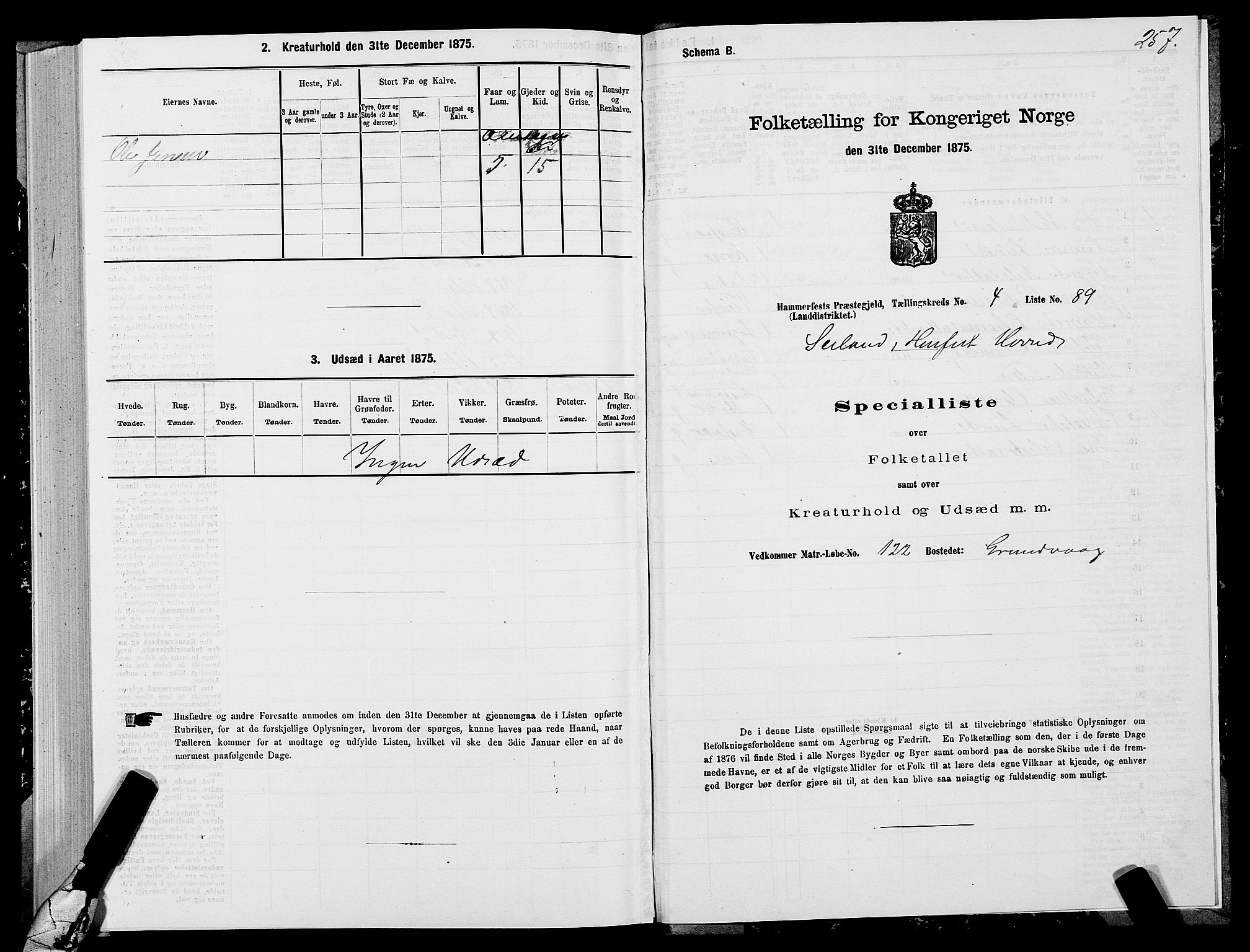 SATØ, Folketelling 1875 for 2016L Hammerfest prestegjeld, Hammerfest landsokn og Kvalsund sokn, 1875, s. 1257