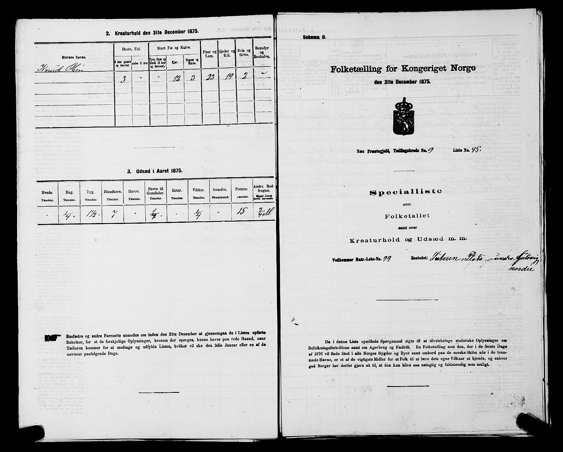 SAKO, Folketelling 1875 for 0616P Nes prestegjeld, 1875, s. 1325