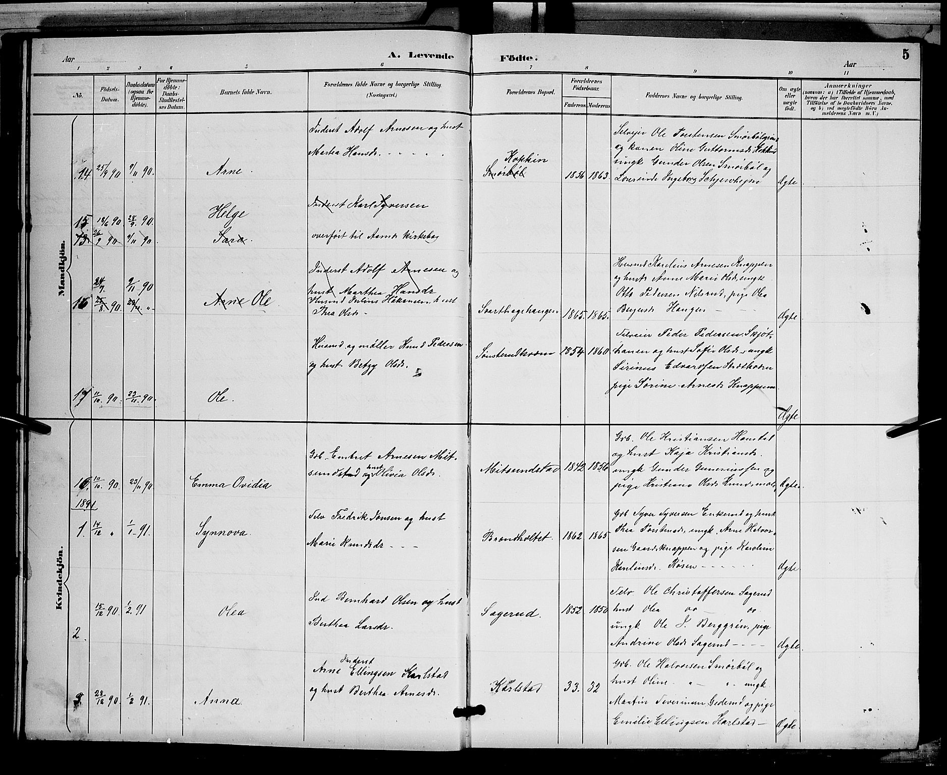 Åsnes prestekontor, AV/SAH-PREST-042/H/Ha/Hab/L0002: Klokkerbok nr. 2, 1890-1891, s. 5