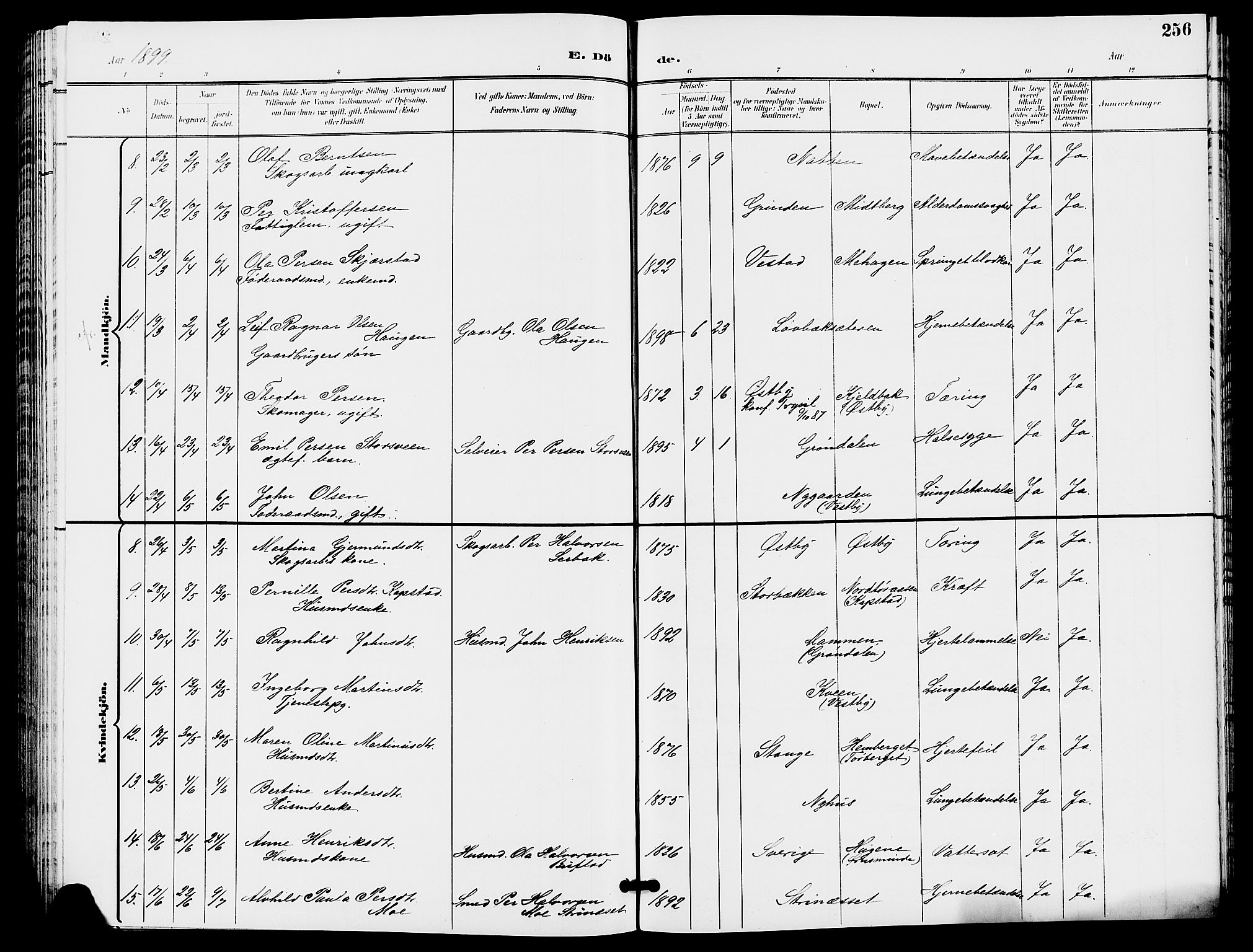 Trysil prestekontor, AV/SAH-PREST-046/H/Ha/Hab/L0006: Klokkerbok nr. 6, 1896-1912, s. 256