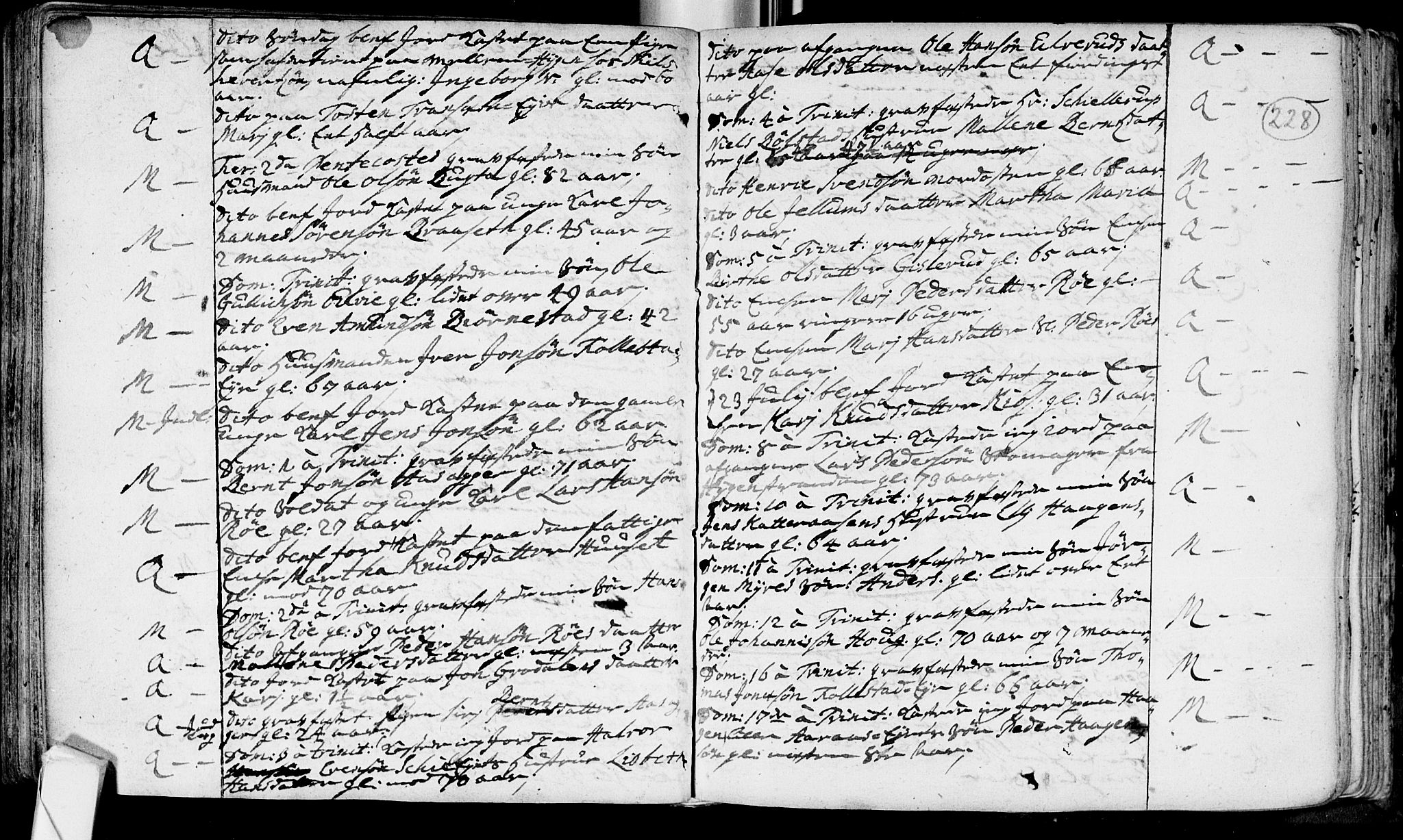 Røyken kirkebøker, SAKO/A-241/F/Fa/L0002: Ministerialbok nr. 2, 1731-1782, s. 228