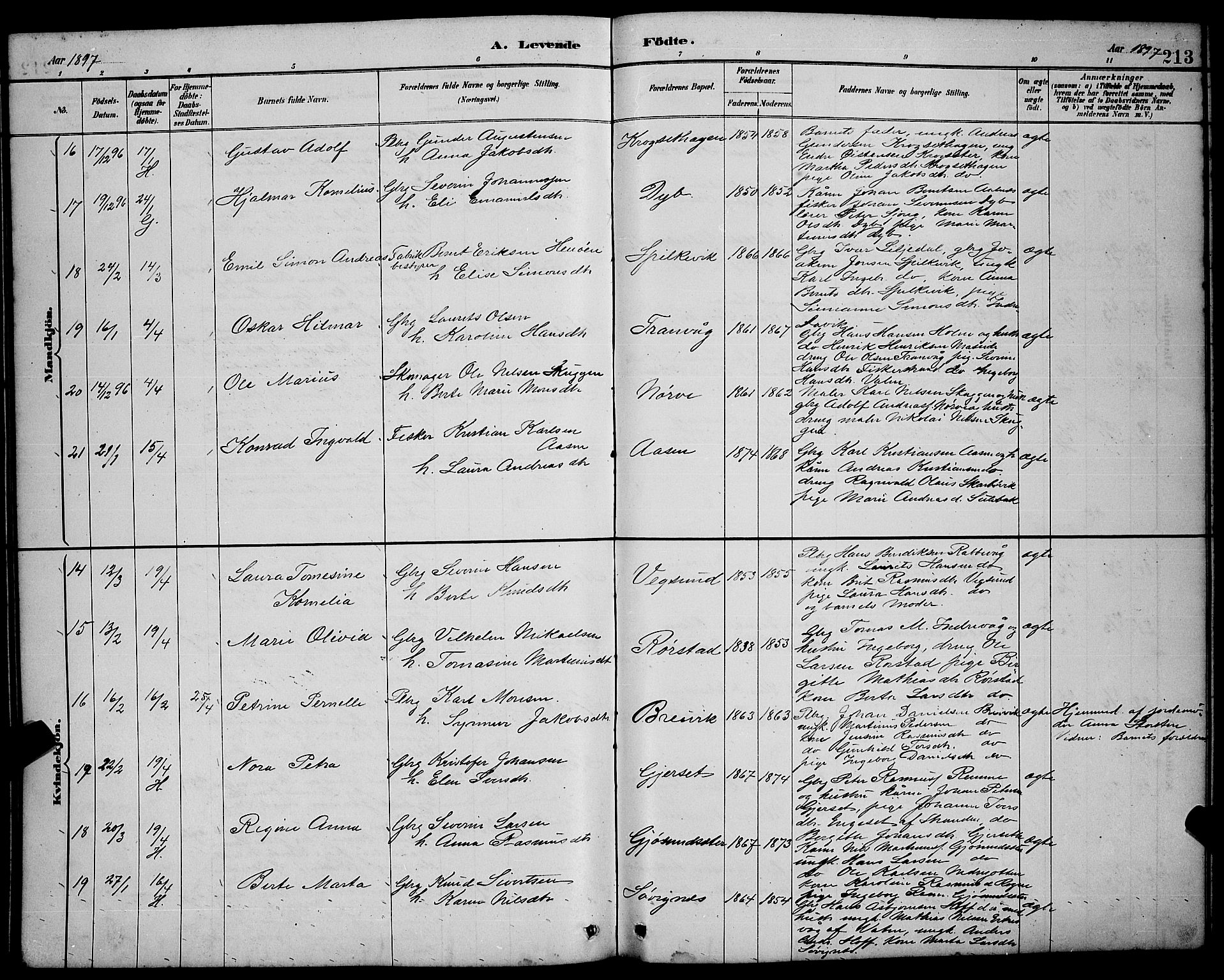 Ministerialprotokoller, klokkerbøker og fødselsregistre - Møre og Romsdal, AV/SAT-A-1454/528/L0431: Klokkerbok nr. 528C12, 1885-1898, s. 213