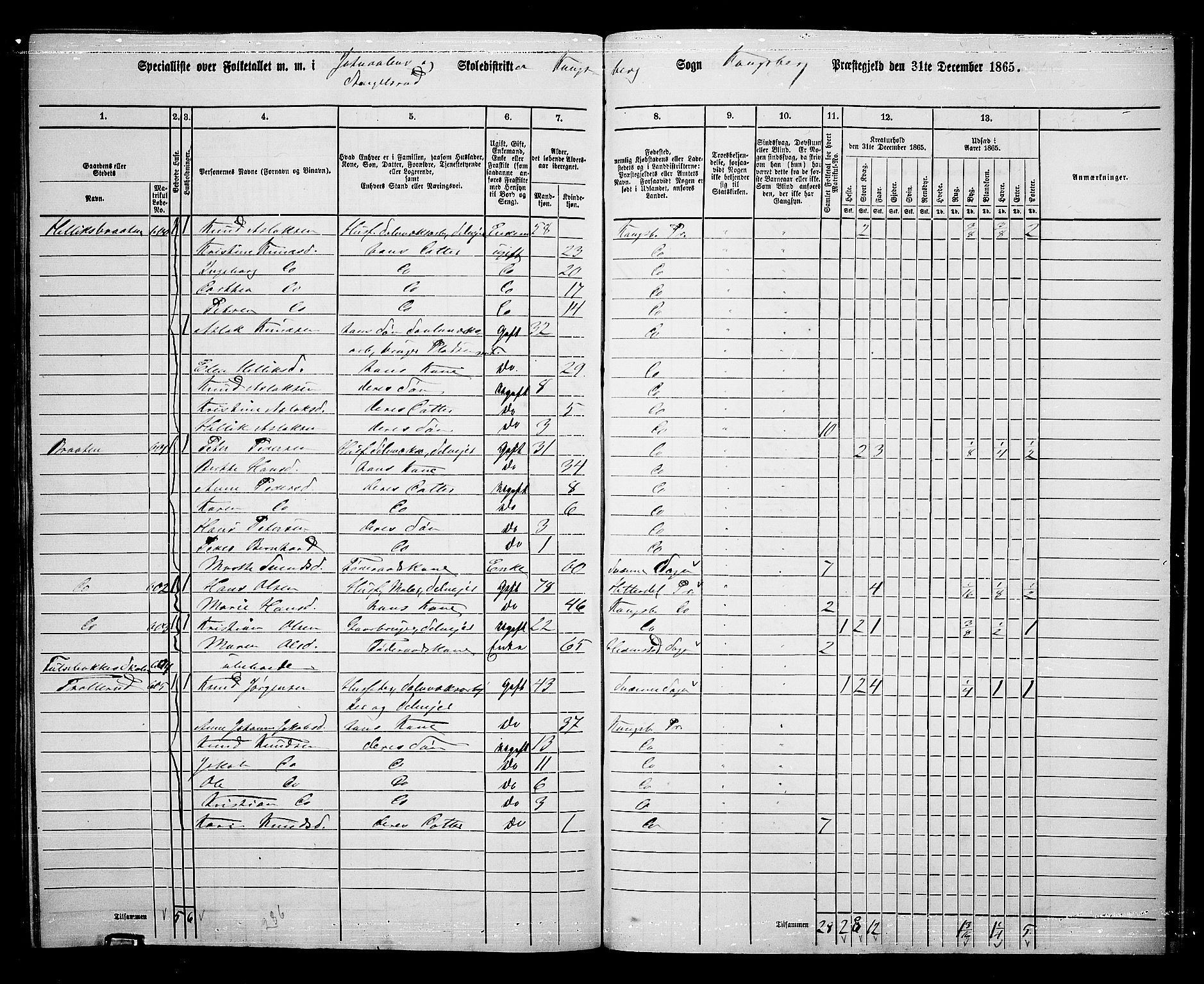 RA, Folketelling 1865 for 0692L Kongsberg prestegjeld, Kongsberg landsokn, 1865, s. 13