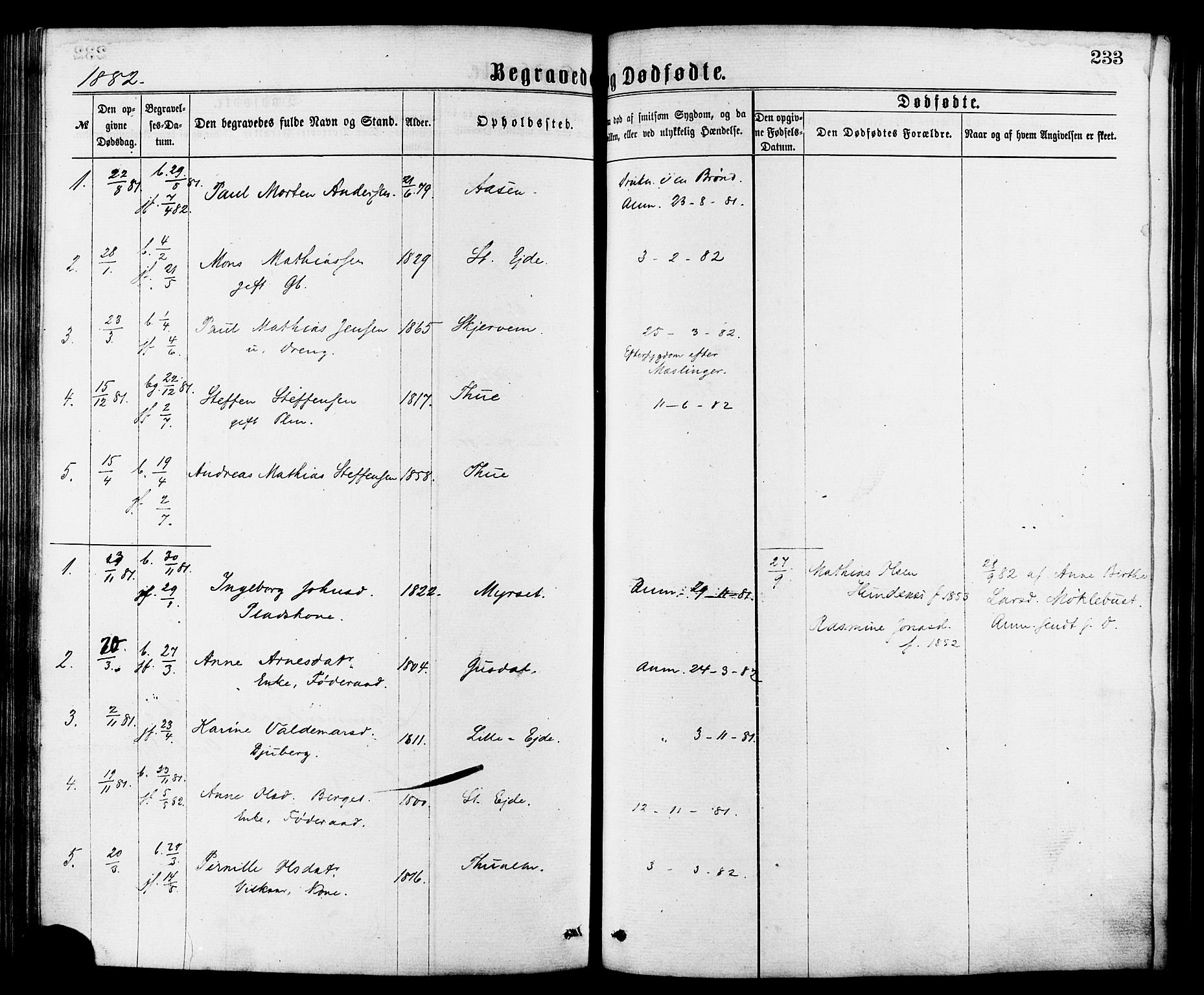 Ministerialprotokoller, klokkerbøker og fødselsregistre - Møre og Romsdal, AV/SAT-A-1454/501/L0007: Ministerialbok nr. 501A07, 1868-1884, s. 233