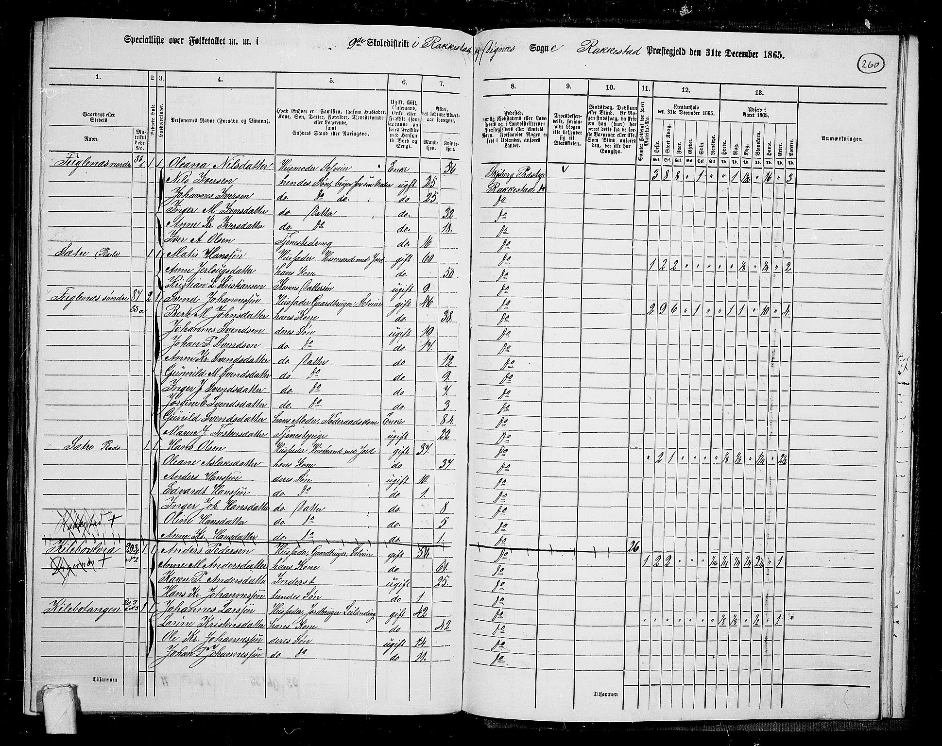 RA, Folketelling 1865 for 0128P Rakkestad prestegjeld, 1865, s. 249