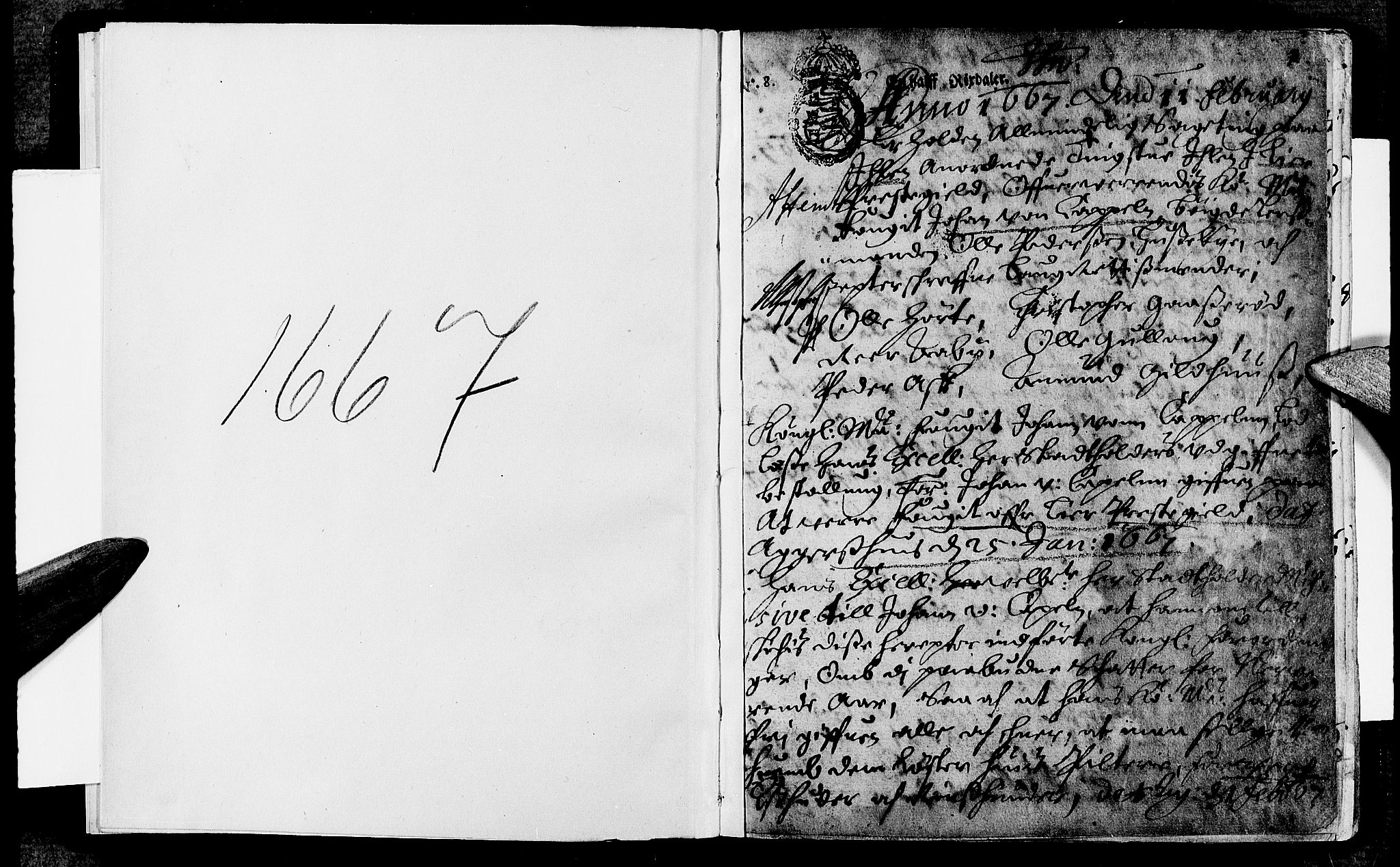 Lier, Røyken og Hurum sorenskriveri, SAKO/A-89/F/Fa/L0008: Tingbok, 1667, s. 1