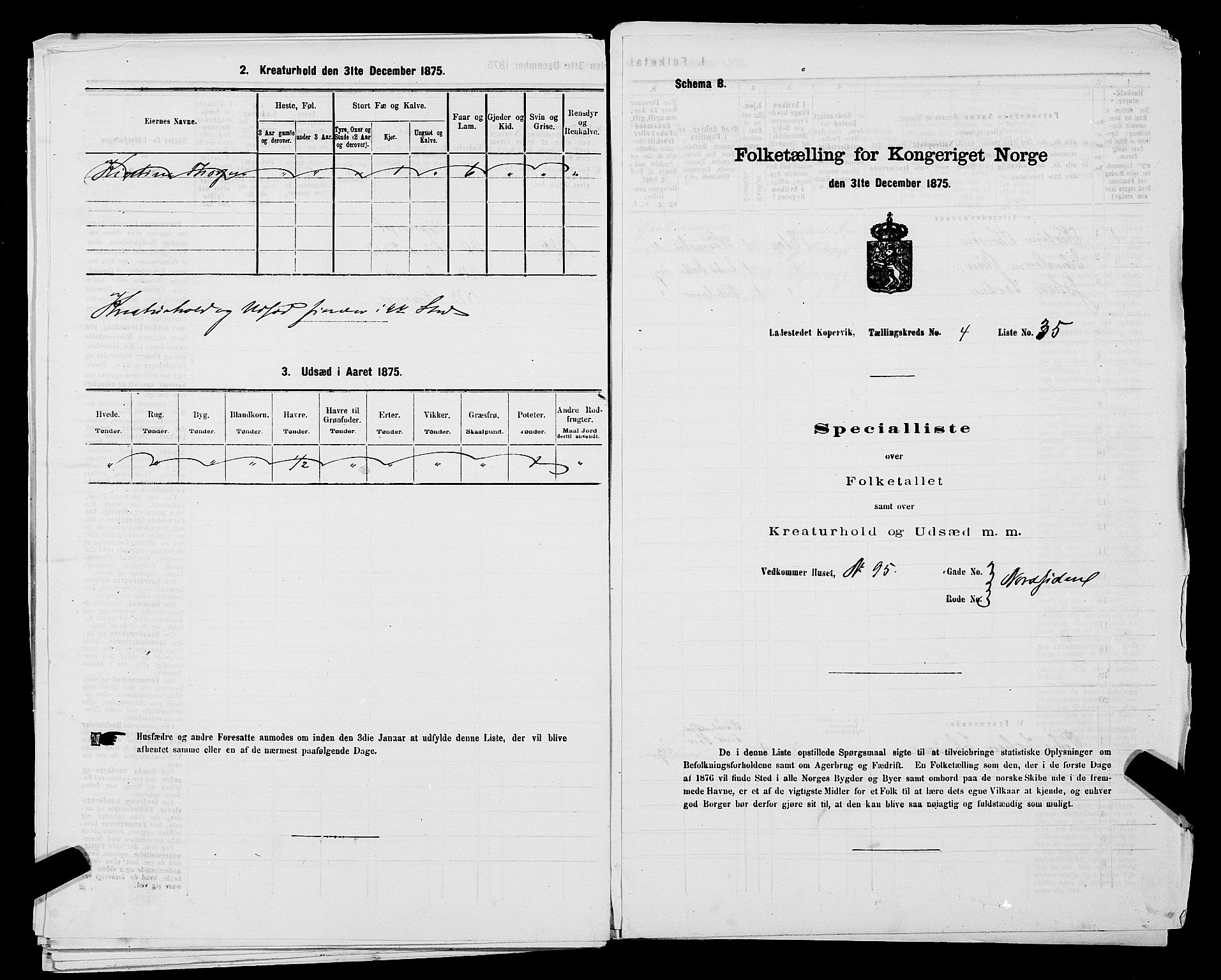 SAST, Folketelling 1875 for 1105B Avaldsnes prestegjeld, Kopervik ladested, 1875, s. 68