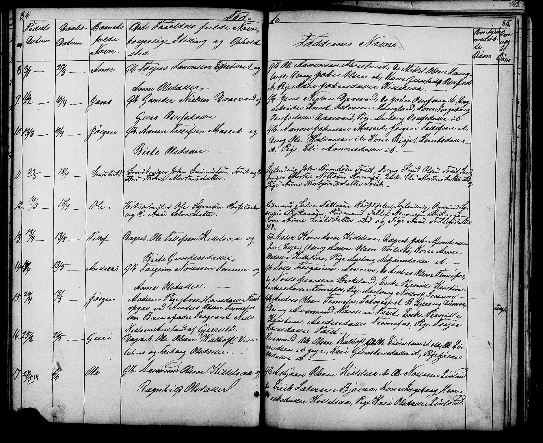 Evje sokneprestkontor, AV/SAK-1111-0008/F/Fb/Fbb/L0002: Klokkerbok nr. B 2, 1879-1909, s. 84-85