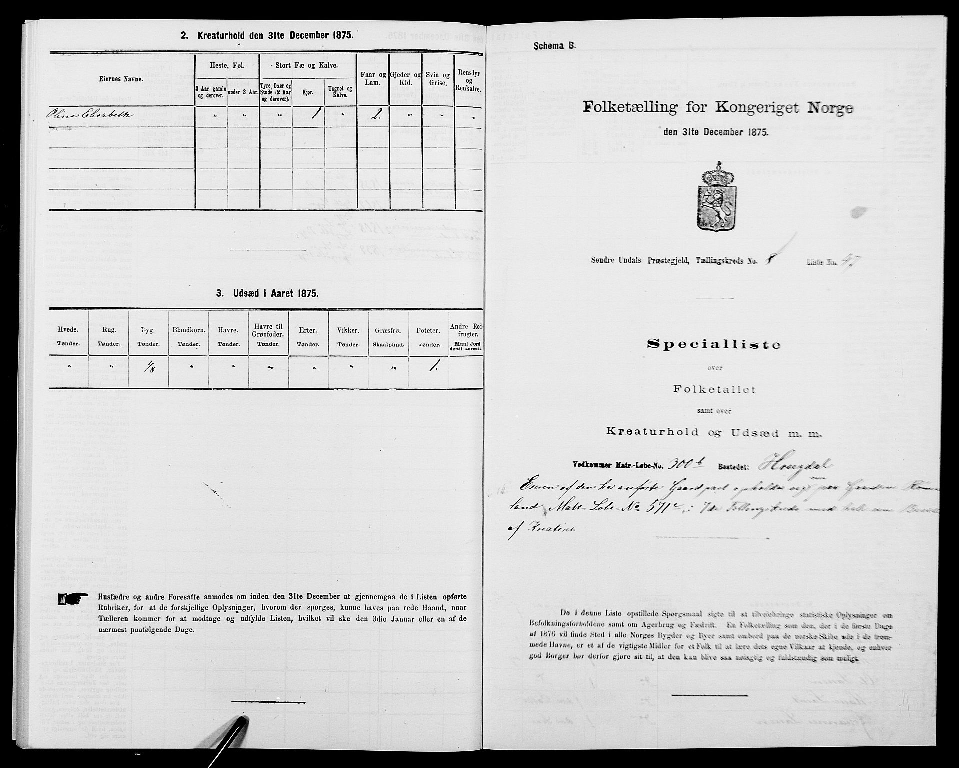 SAK, Folketelling 1875 for 1029P Sør-Audnedal prestegjeld, 1875, s. 1161