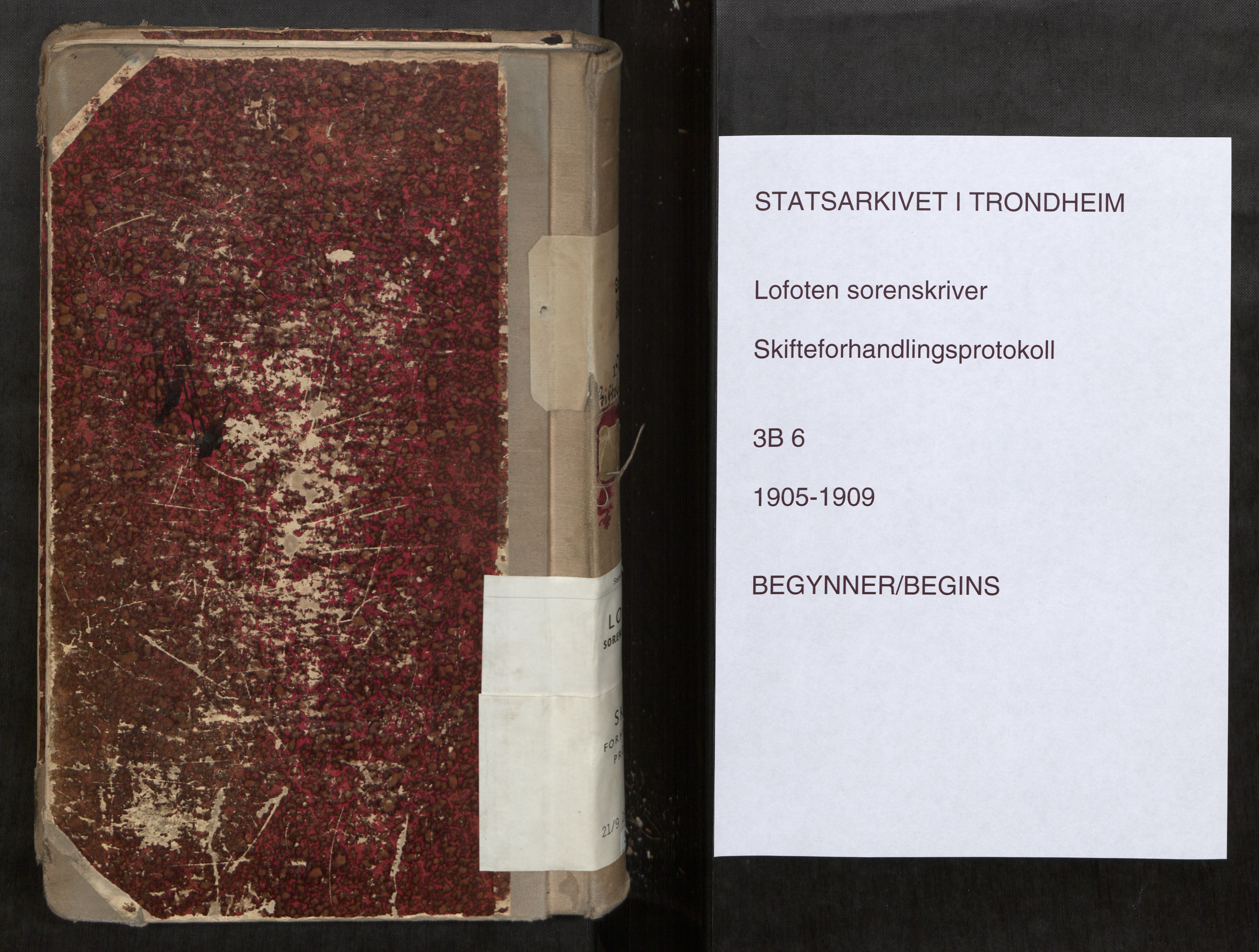 Lofoten sorenskriveri, AV/SAT-A-0017/1/3/3B/L0006: Skifteforhandlings-protokoll, 1905-1909