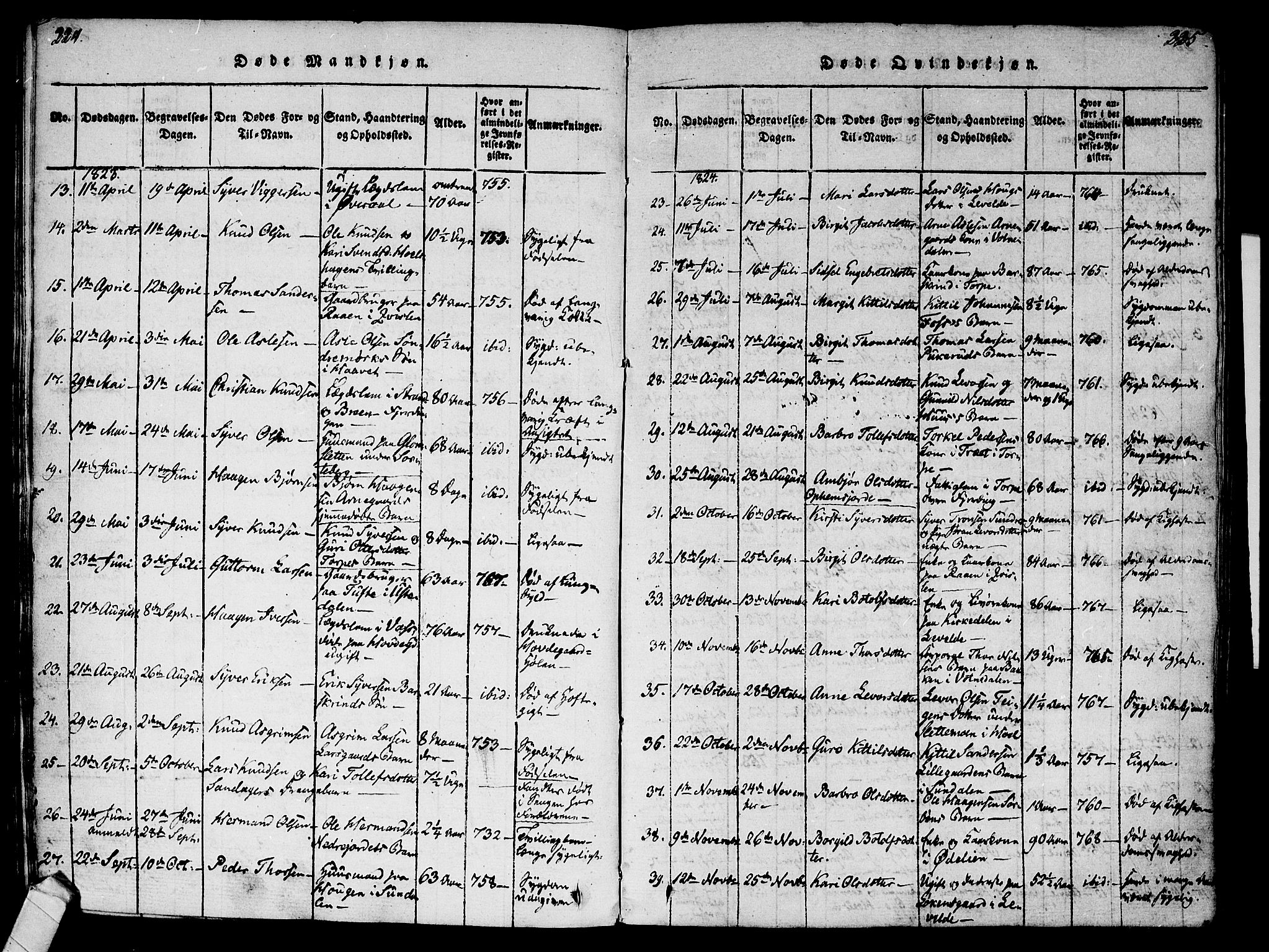 Ål kirkebøker, AV/SAKO-A-249/F/Fa/L0004: Ministerialbok nr. I 4, 1815-1825, s. 224-225