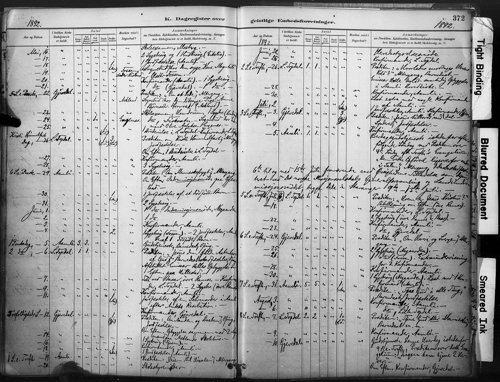 Åmli sokneprestkontor, AV/SAK-1111-0050/F/Fa/Fac/L0010: Ministerialbok nr. A 10 /1, 1885-1899, s. 372