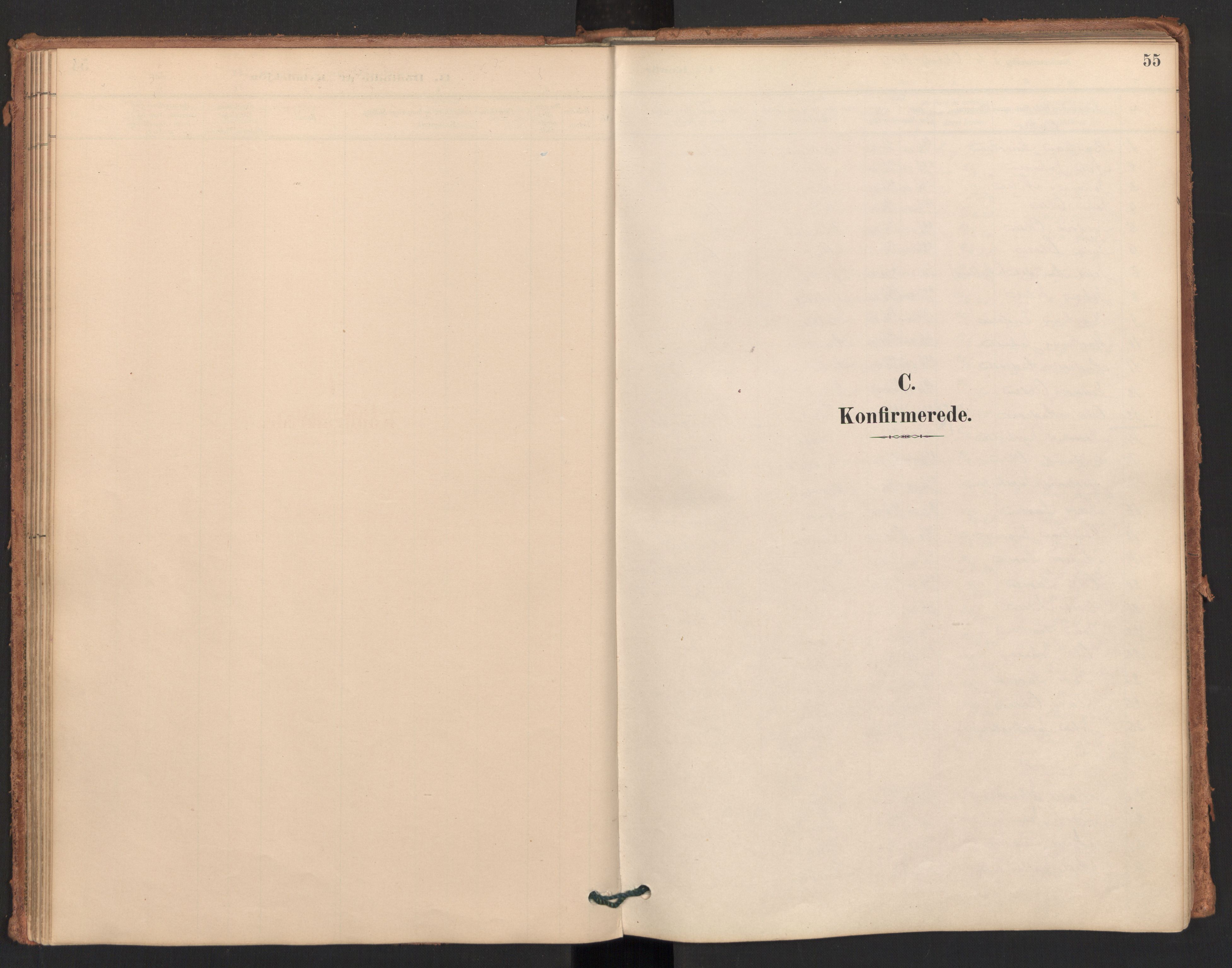 Ministerialprotokoller, klokkerbøker og fødselsregistre - Møre og Romsdal, AV/SAT-A-1454/596/L1056: Ministerialbok nr. 596A01, 1885-1900, s. 55