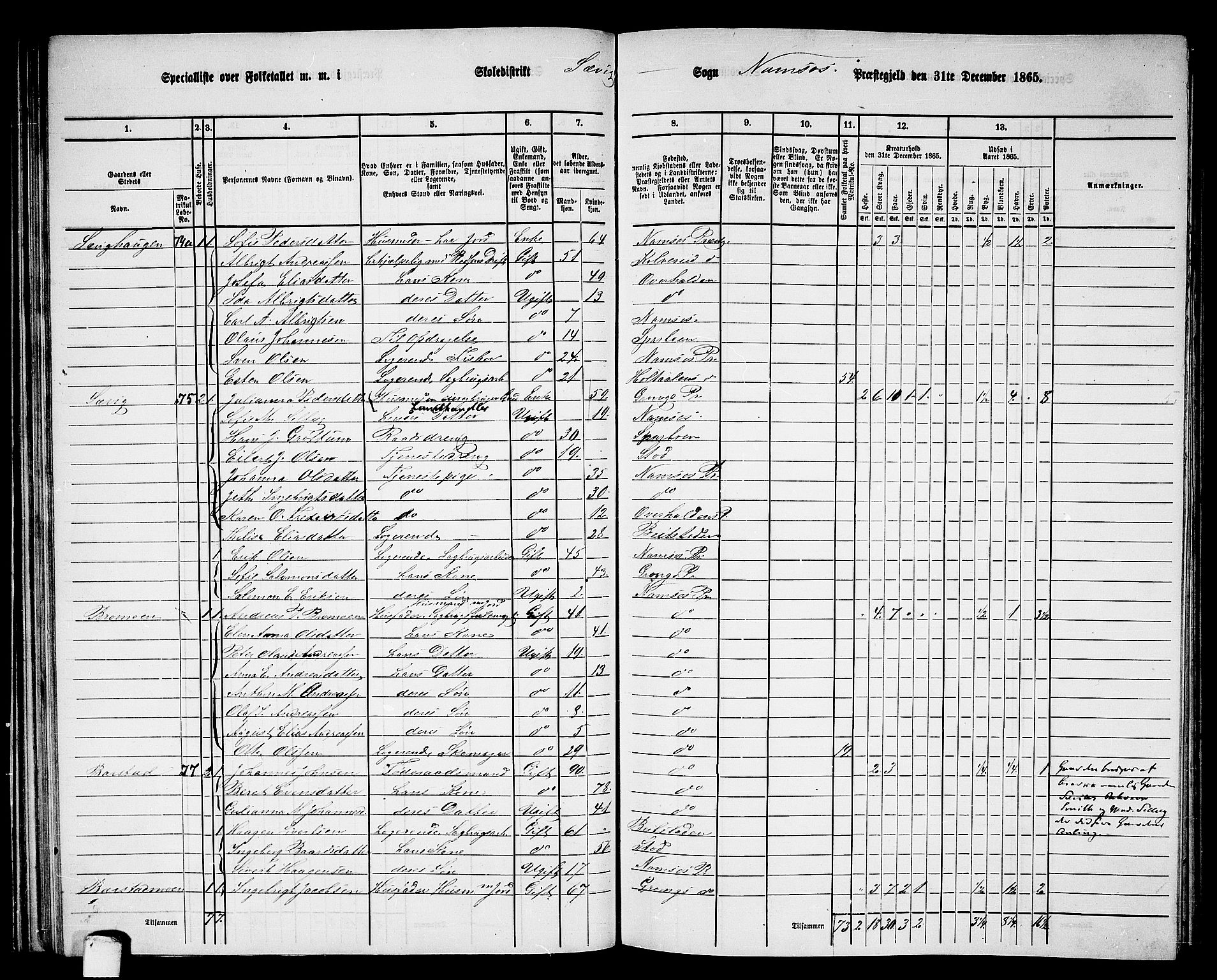 RA, Folketelling 1865 for 1745L Namsos prestegjeld, Vemundvik sokn og Sævik sokn, 1865, s. 55