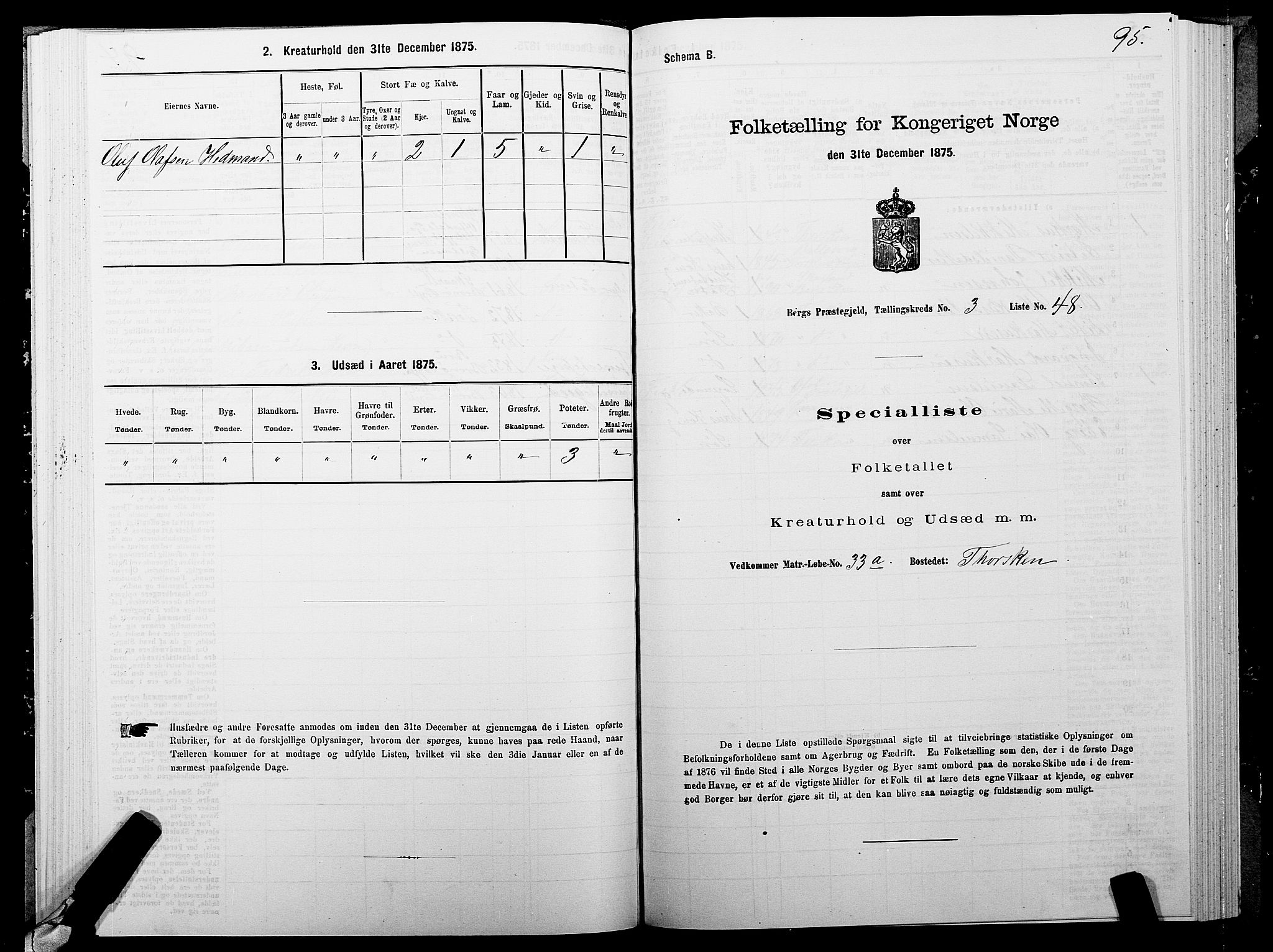 SATØ, Folketelling 1875 for 1929P Berg prestegjeld, 1875, s. 2095