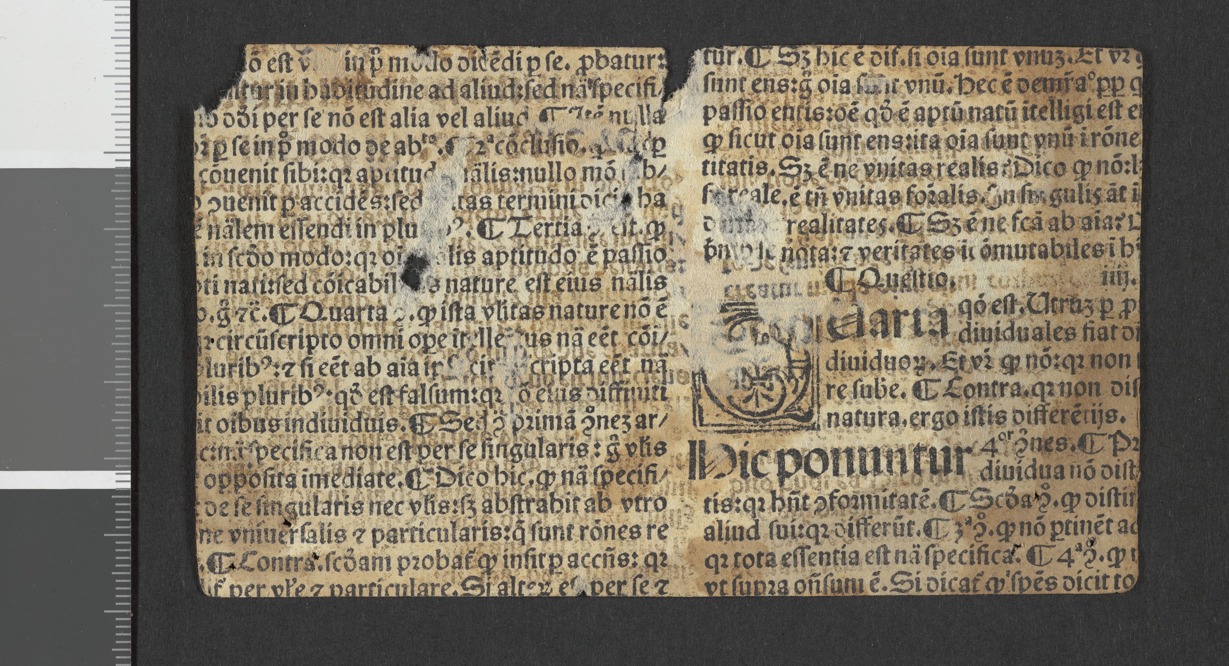 Tellefsen, Johan Christian, AV/RA-PA-0792/Fc/L0003: Membranfragmenter, 1100-1536, s. 356
