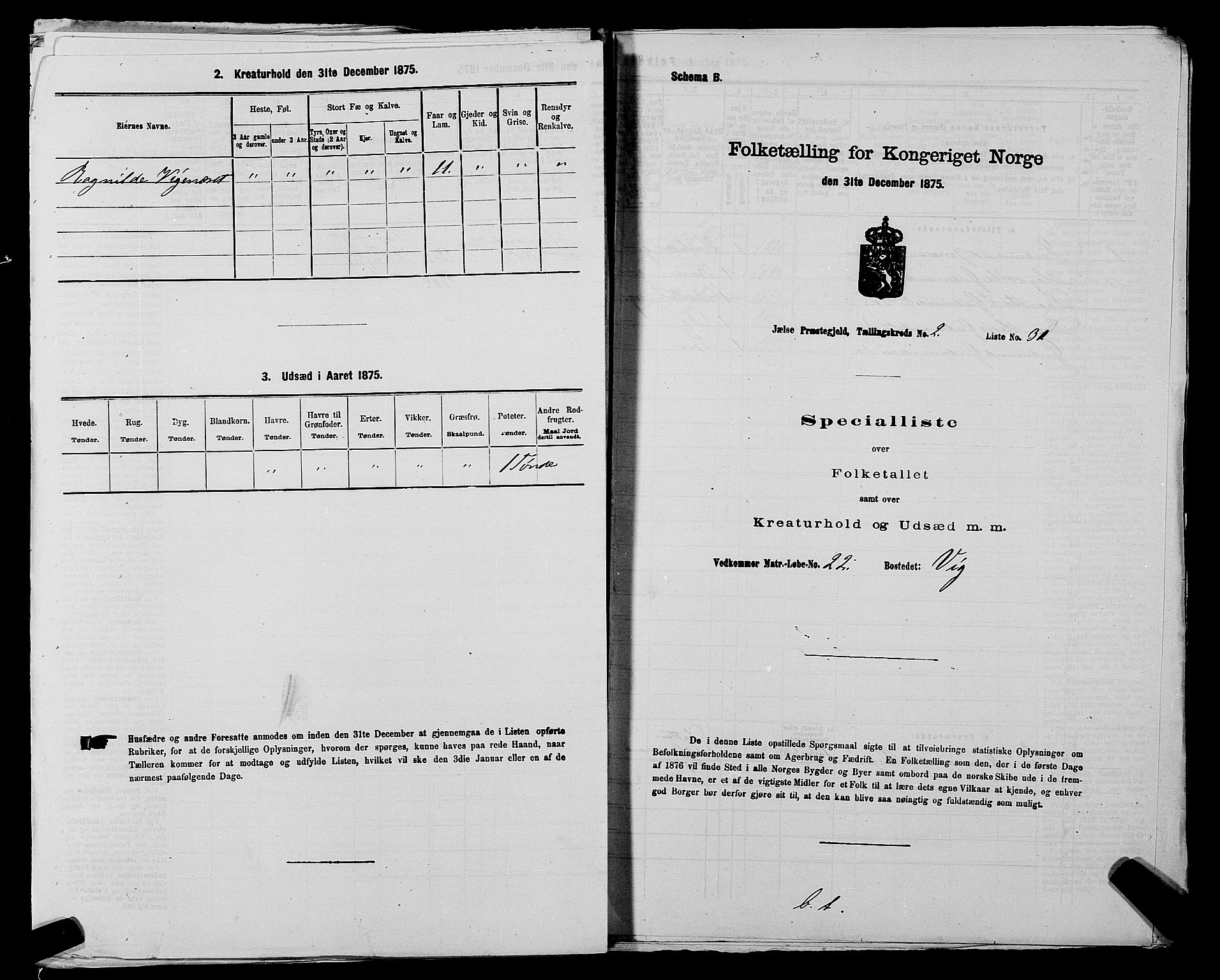 SAST, Folketelling 1875 for 1138P Jelsa prestegjeld, 1875, s. 176