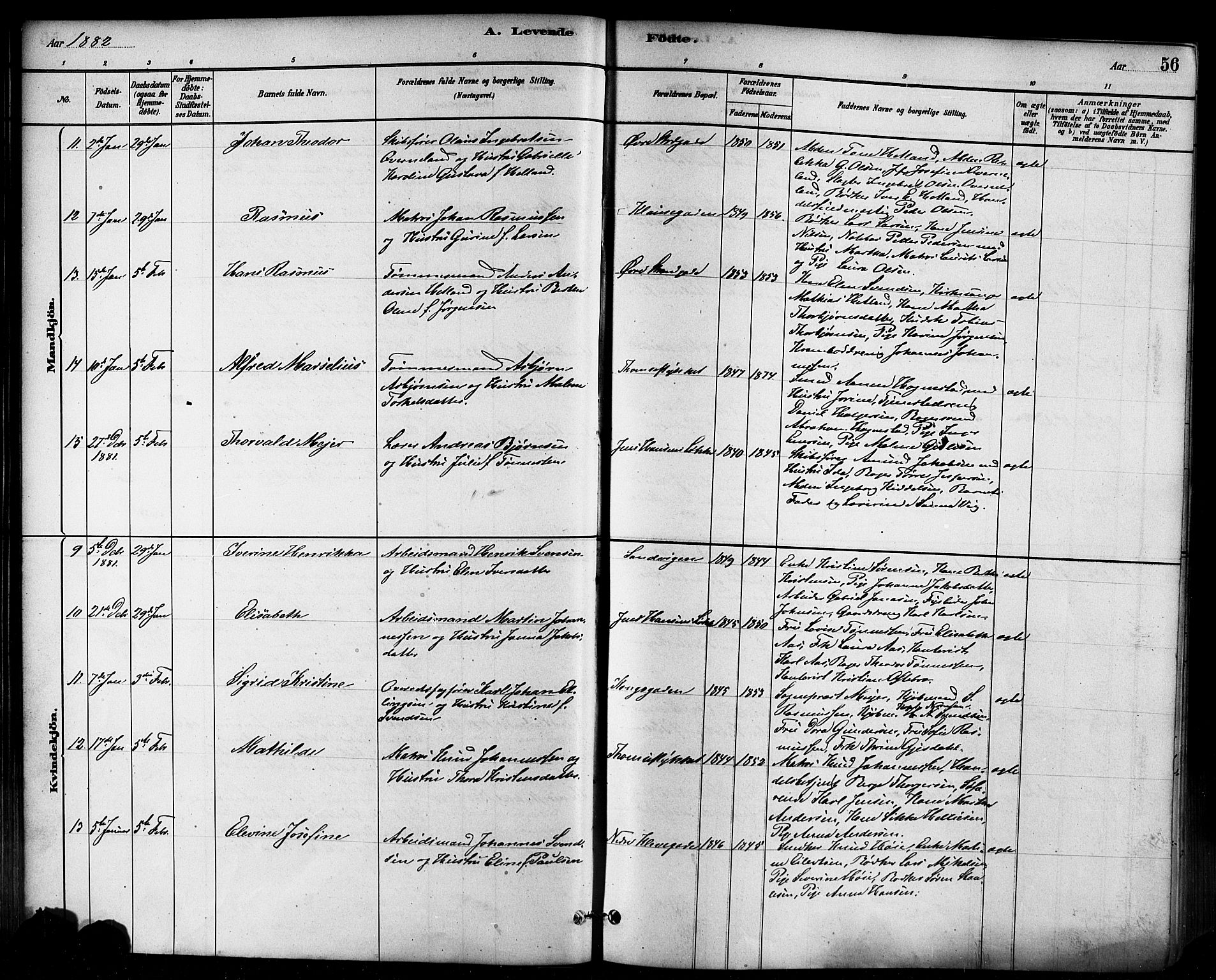 Domkirken sokneprestkontor, AV/SAST-A-101812/001/30/30BB/L0015: Klokkerbok nr. B 15, 1880-1891, s. 56