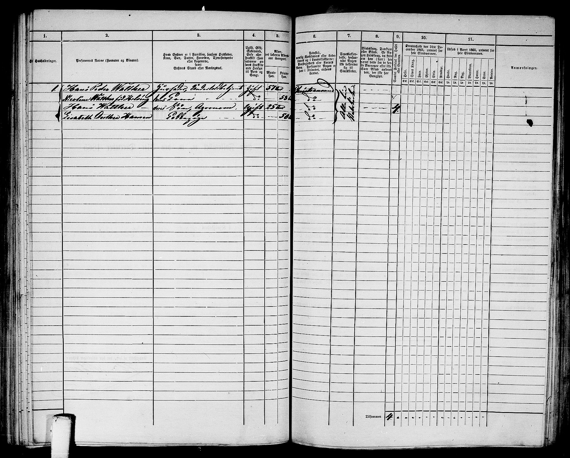 RA, Folketelling 1865 for 1503B Kristiansund prestegjeld, Kristiansund kjøpstad, 1865, s. 207