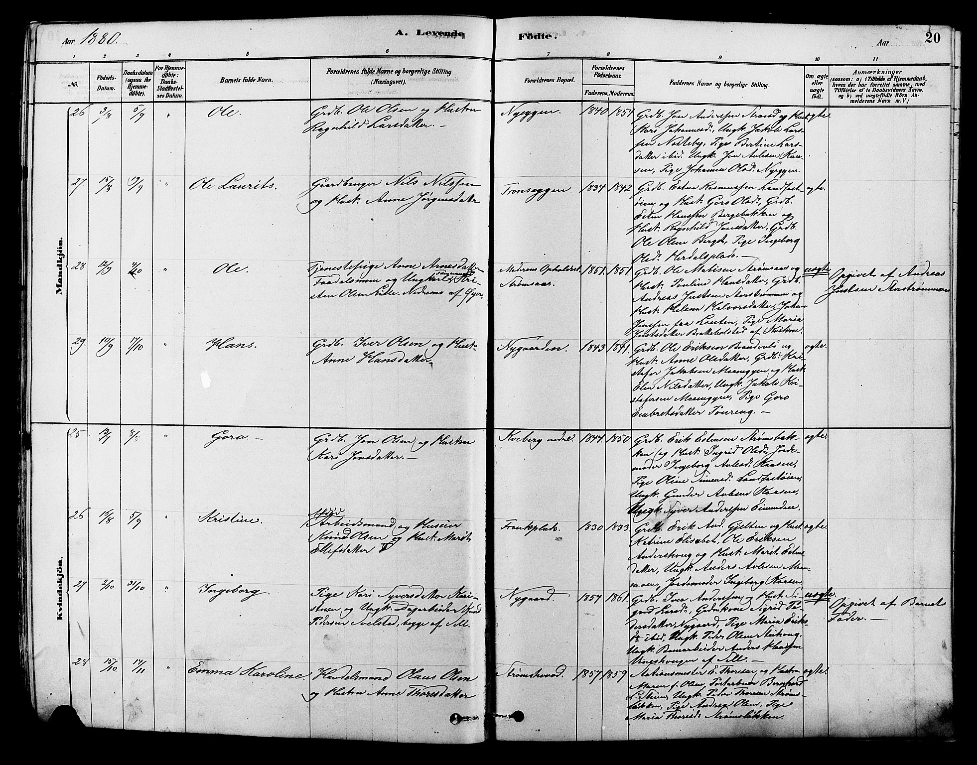 Alvdal prestekontor, AV/SAH-PREST-060/H/Ha/Hab/L0003: Klokkerbok nr. 3, 1878-1907, s. 20