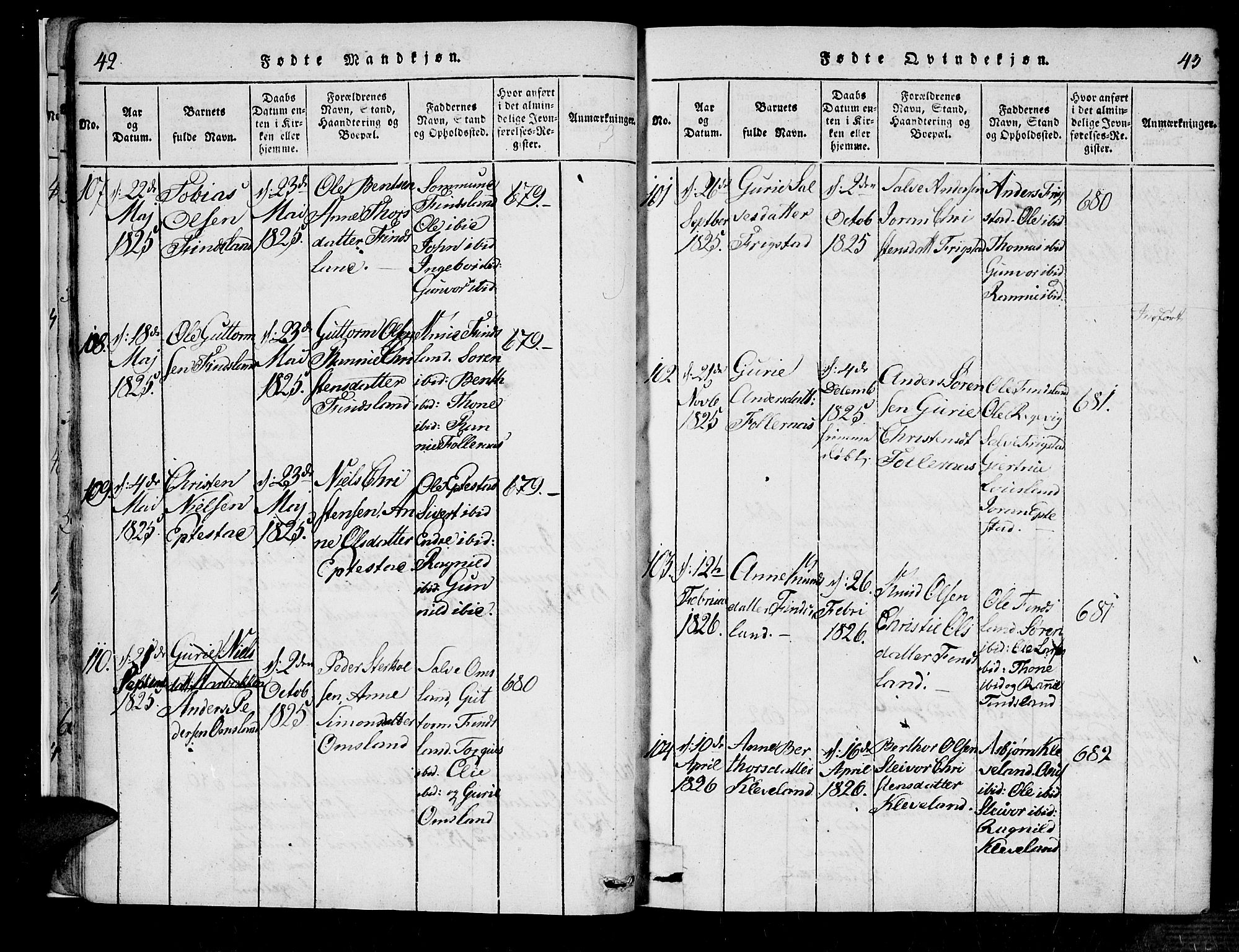 Bjelland sokneprestkontor, SAK/1111-0005/F/Fa/Fab/L0002: Ministerialbok nr. A 2, 1816-1869, s. 42-43