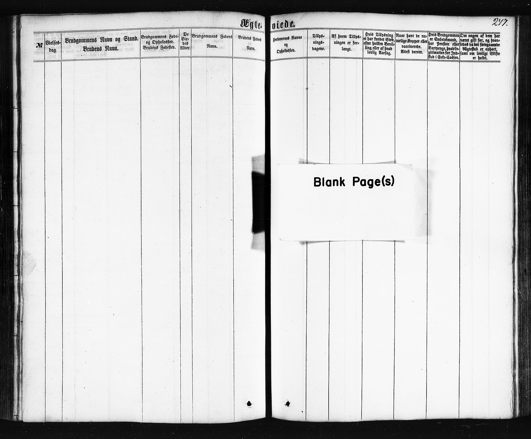 Ministerialprotokoller, klokkerbøker og fødselsregistre - Nordland, AV/SAT-A-1459/861/L0867: Ministerialbok nr. 861A02, 1864-1878, s. 247