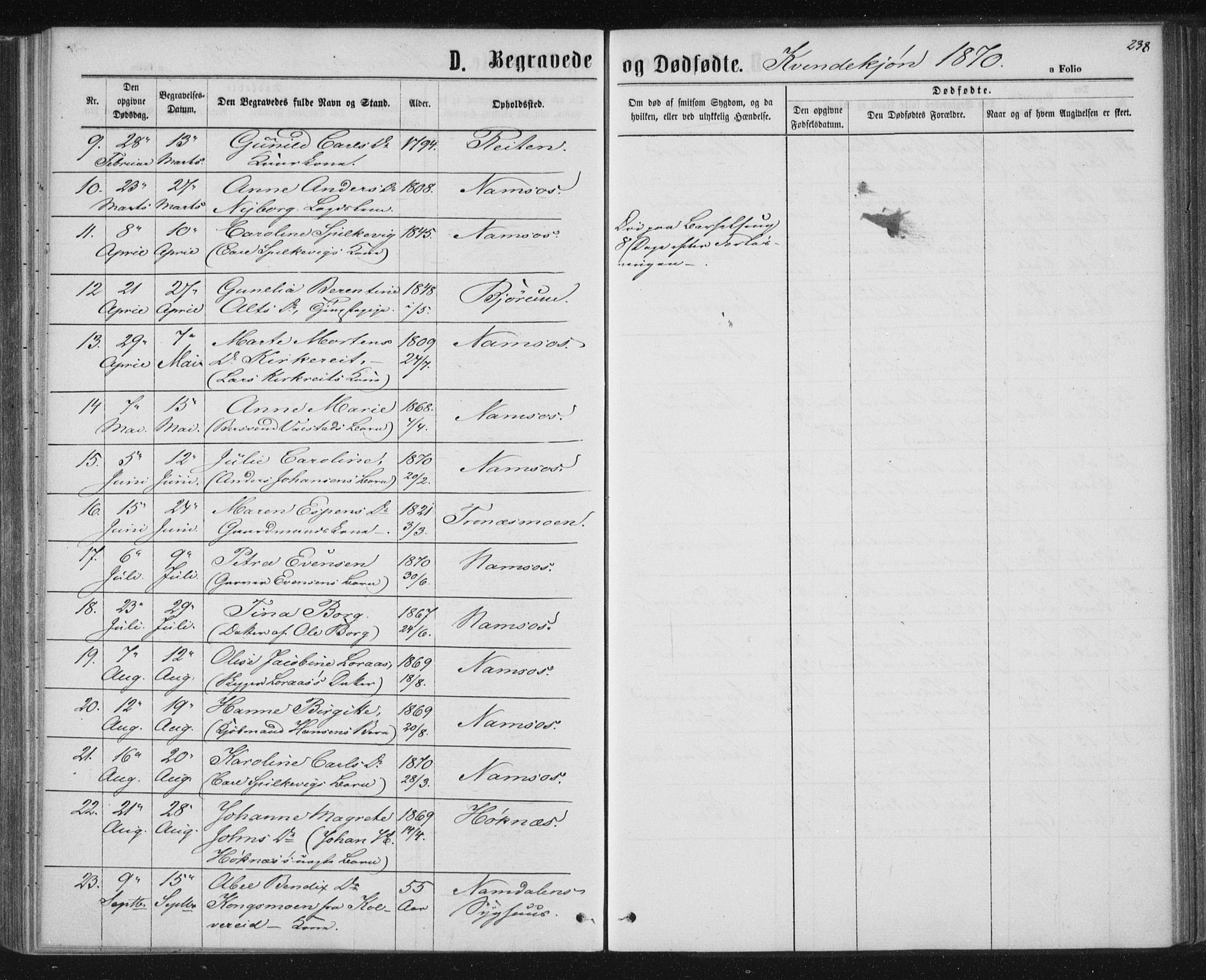 Ministerialprotokoller, klokkerbøker og fødselsregistre - Nord-Trøndelag, AV/SAT-A-1458/768/L0570: Ministerialbok nr. 768A05, 1865-1874, s. 238