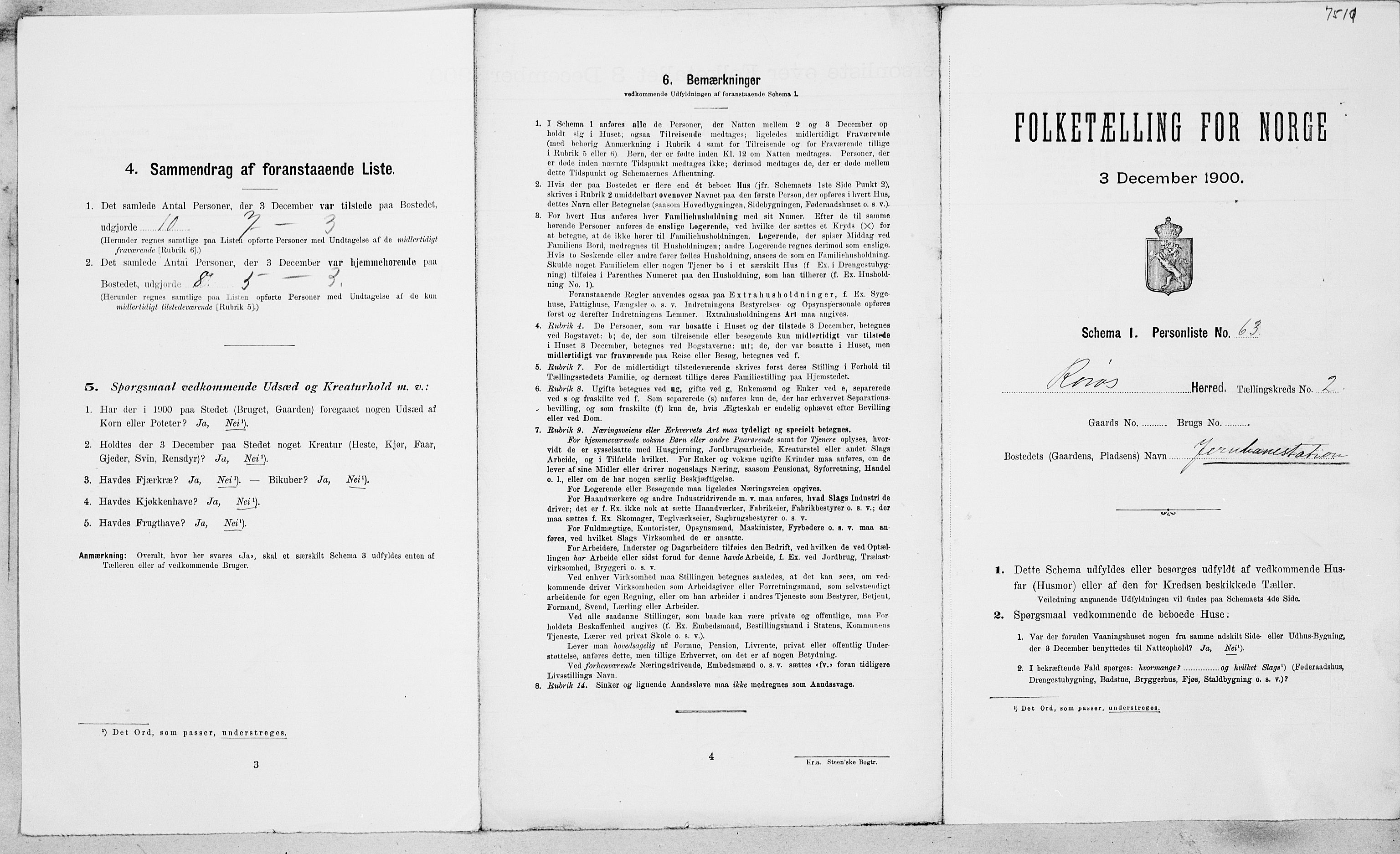 SAT, Folketelling 1900 for 1640 Røros herred, 1900, s. 266