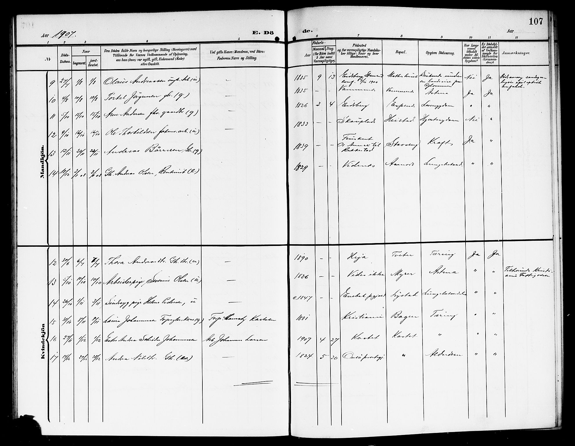 Skiptvet prestekontor Kirkebøker, AV/SAO-A-20009/G/Ga/L0002: Klokkerbok nr. 2, 1905-1915, s. 107